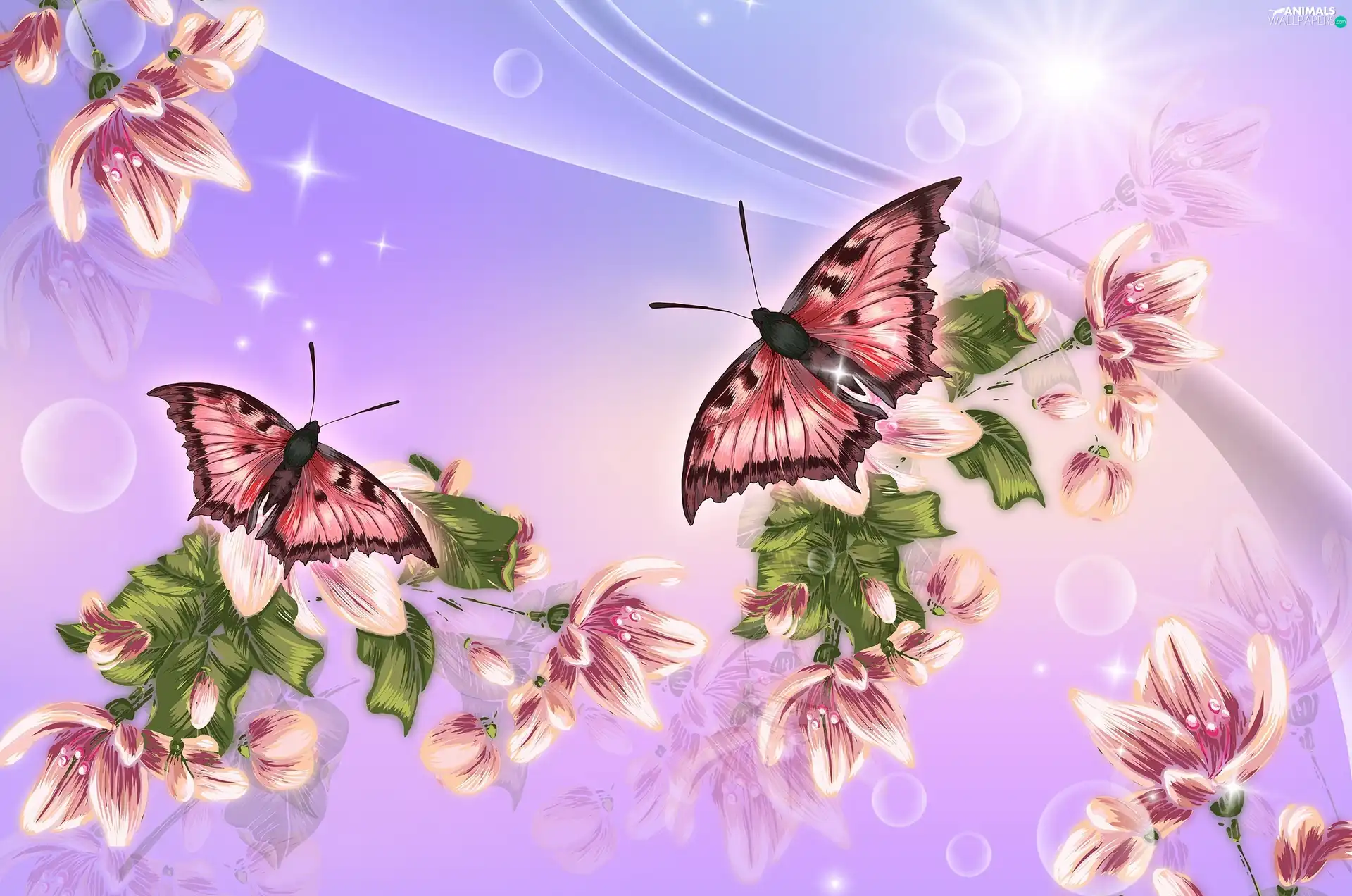 butterflies, sun, 2D Graphics, Flowers