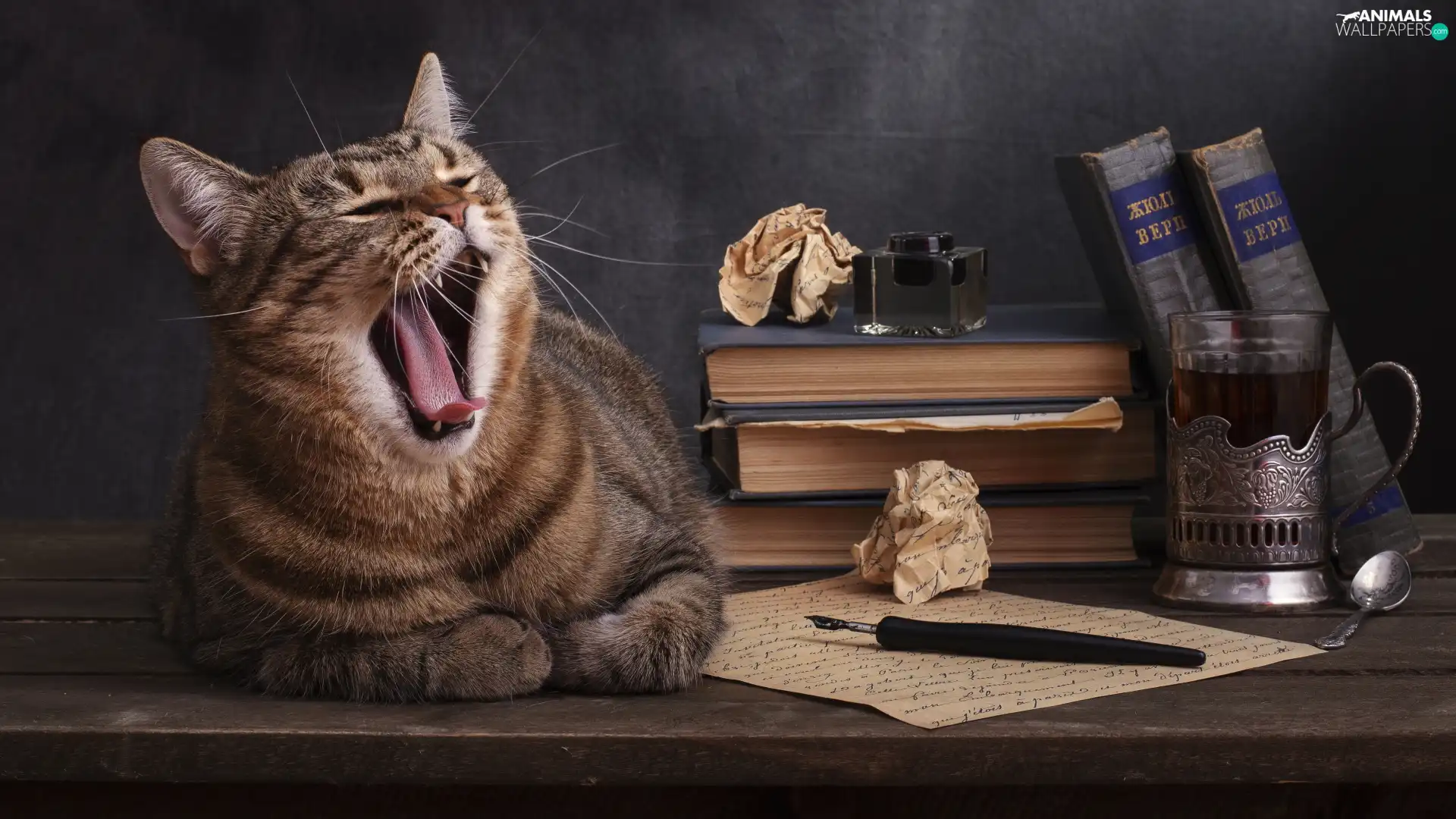 Books, yawning, pen, cup, card, cat