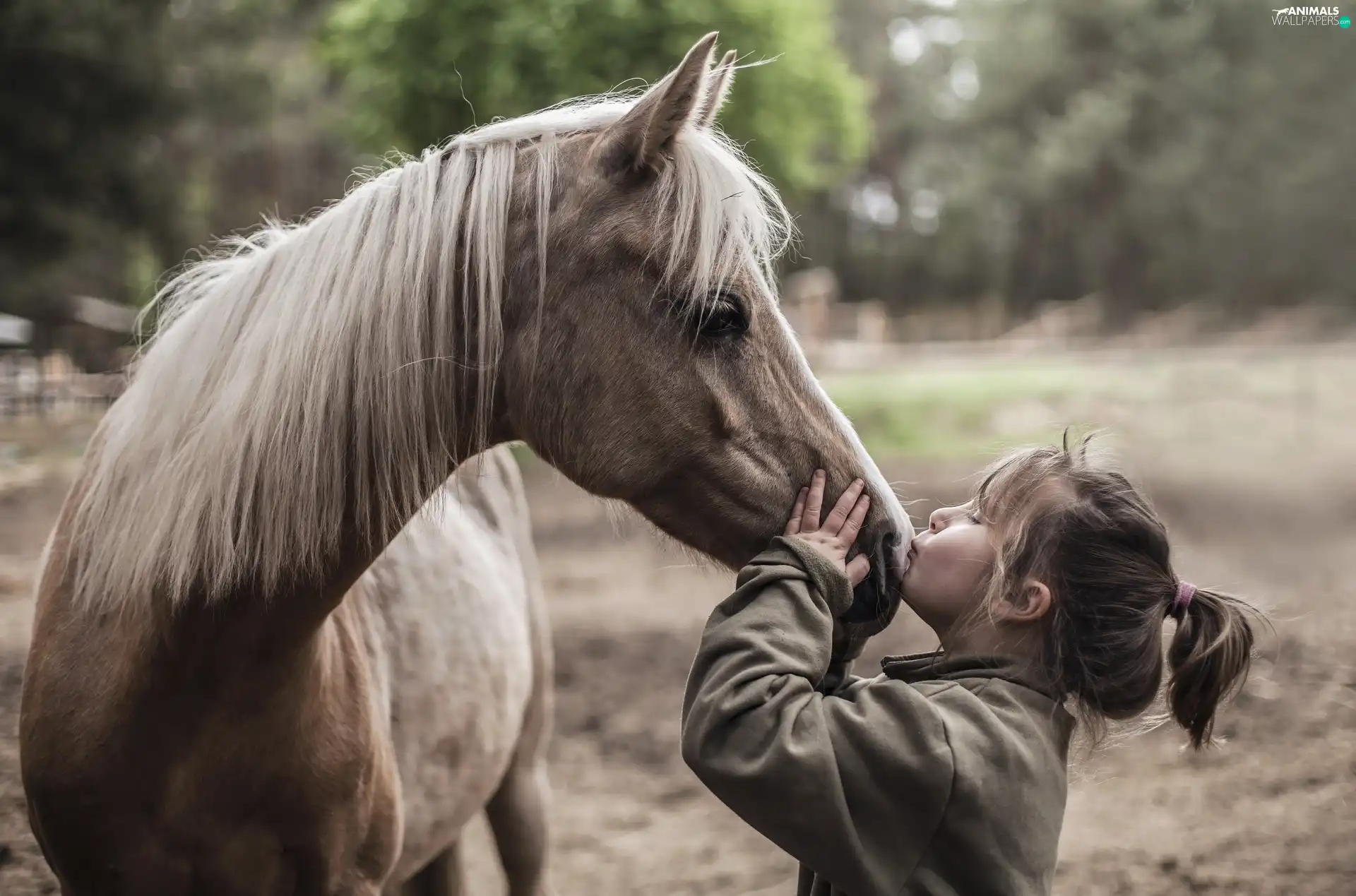 Horse, girl, kiss, Kid