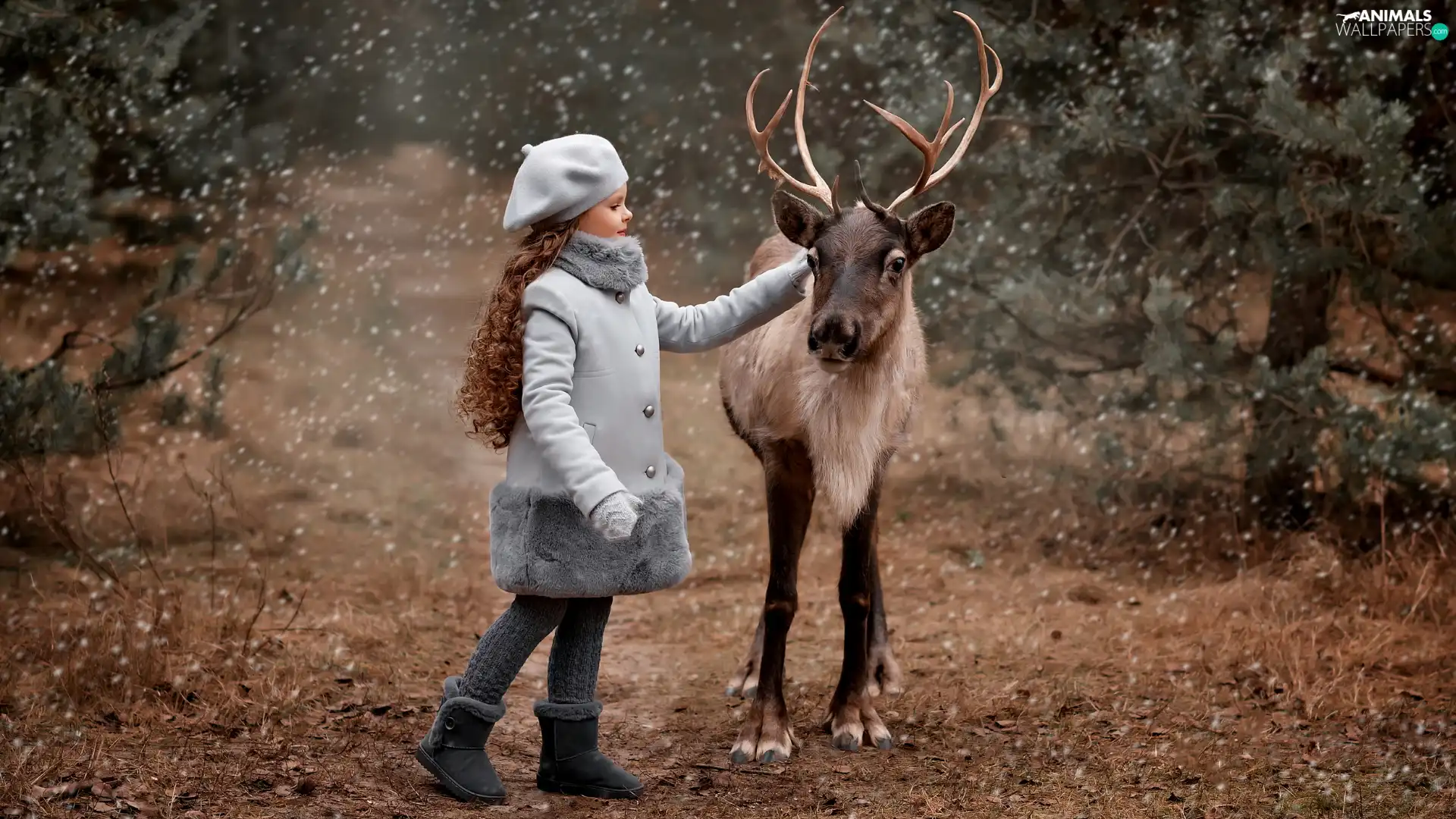 beret, reindeer, Gray, coat, girl