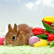Rabbit, eggs, Easter, Tulips