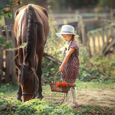 Horse, Hat, basket, girl