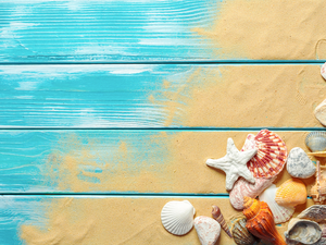 Sand, Shells, boarding, Pebble, starfish, Blue, composition