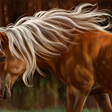 picture, watercolor, mane, White, Horse
