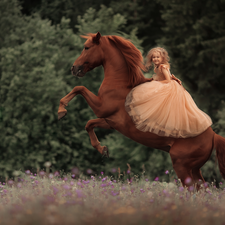 girl, dress, Horse, tulle