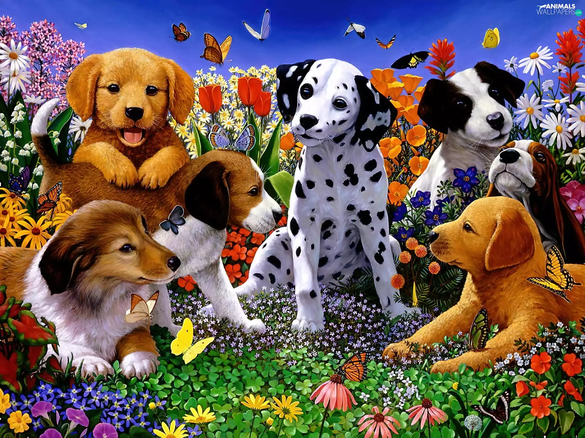 butterflies, 2D, different, breed, puppies