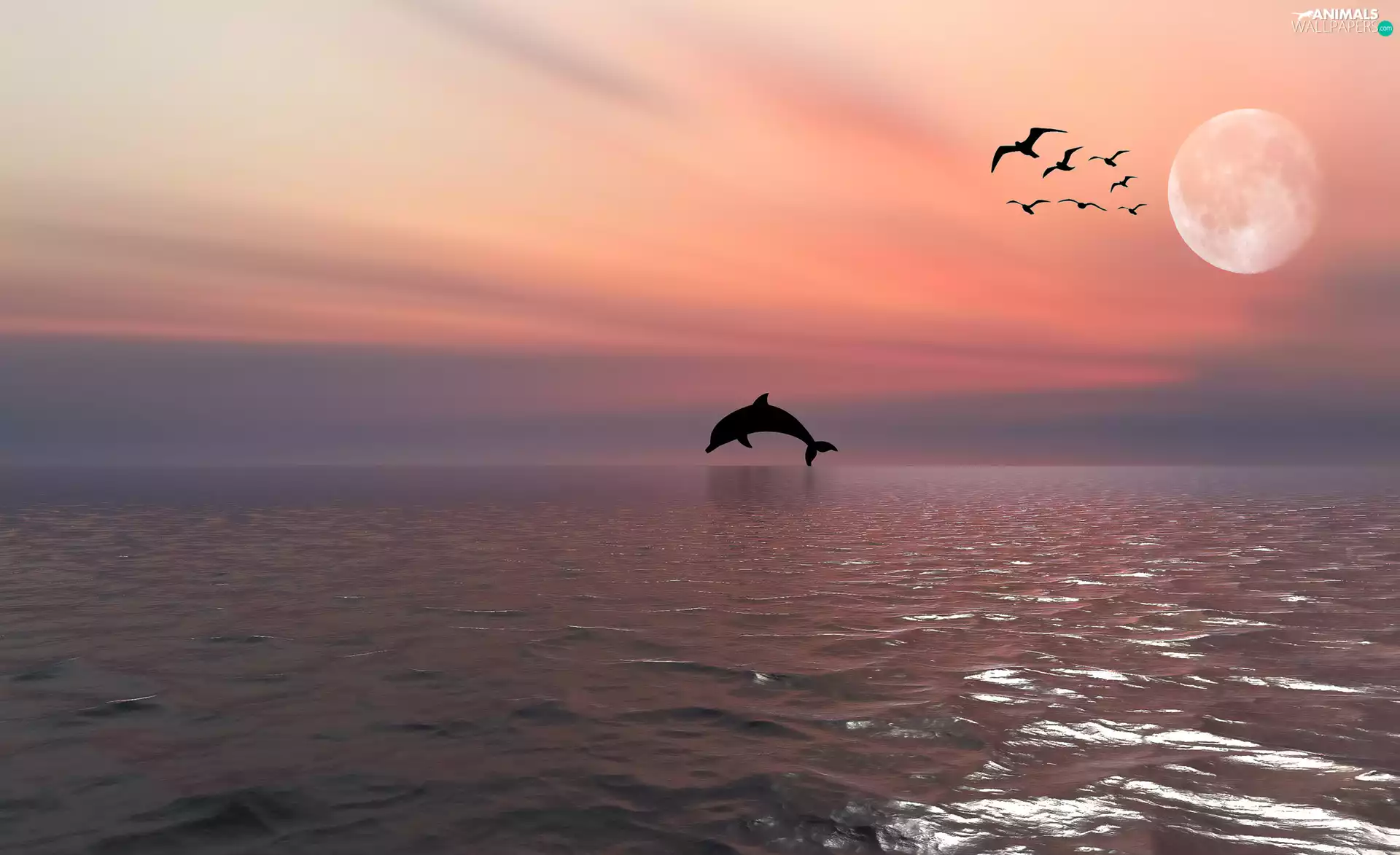 moon, 2D, dolphin, birds, sea