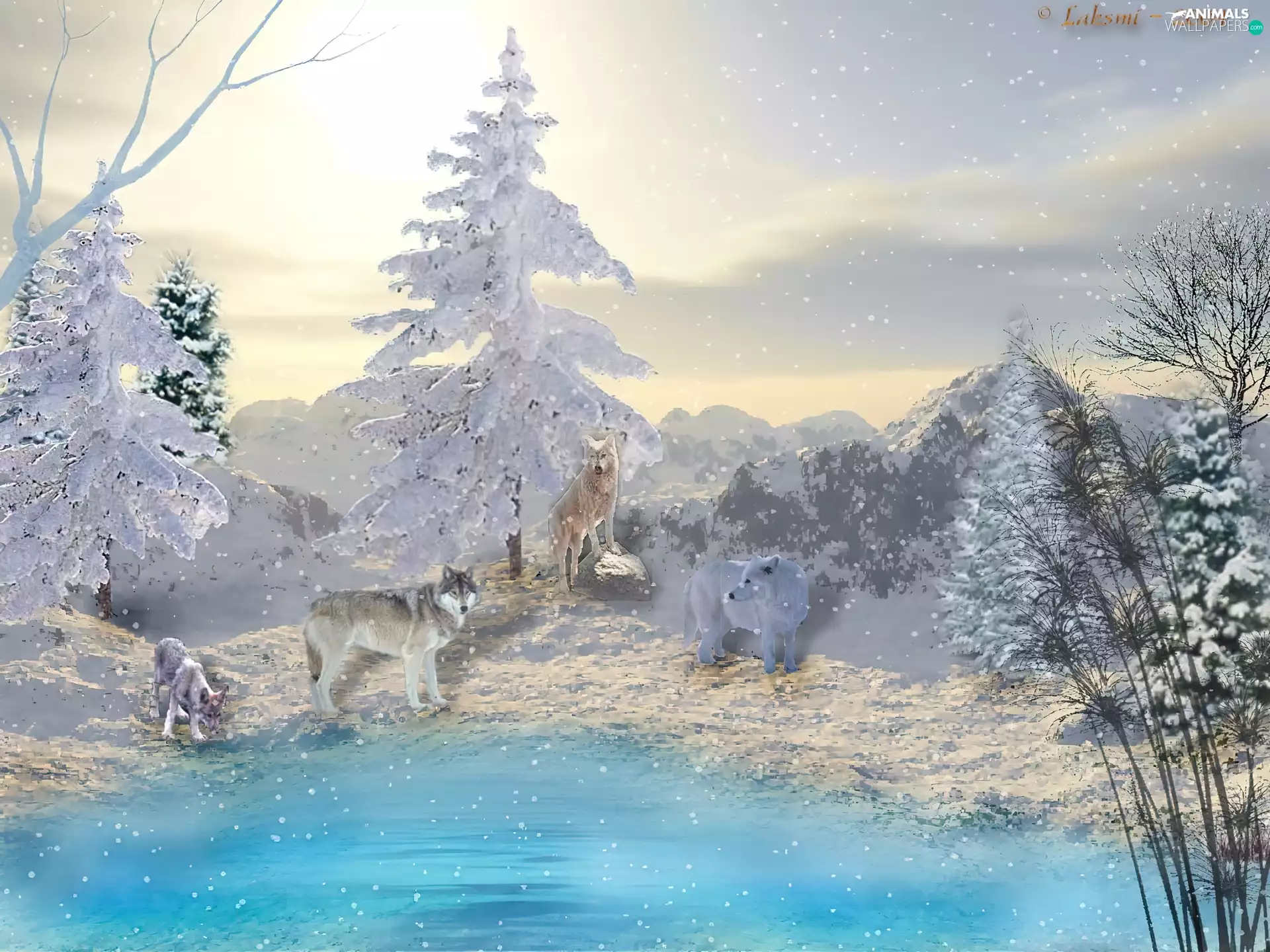 forest, 3D, wolves, River, winter