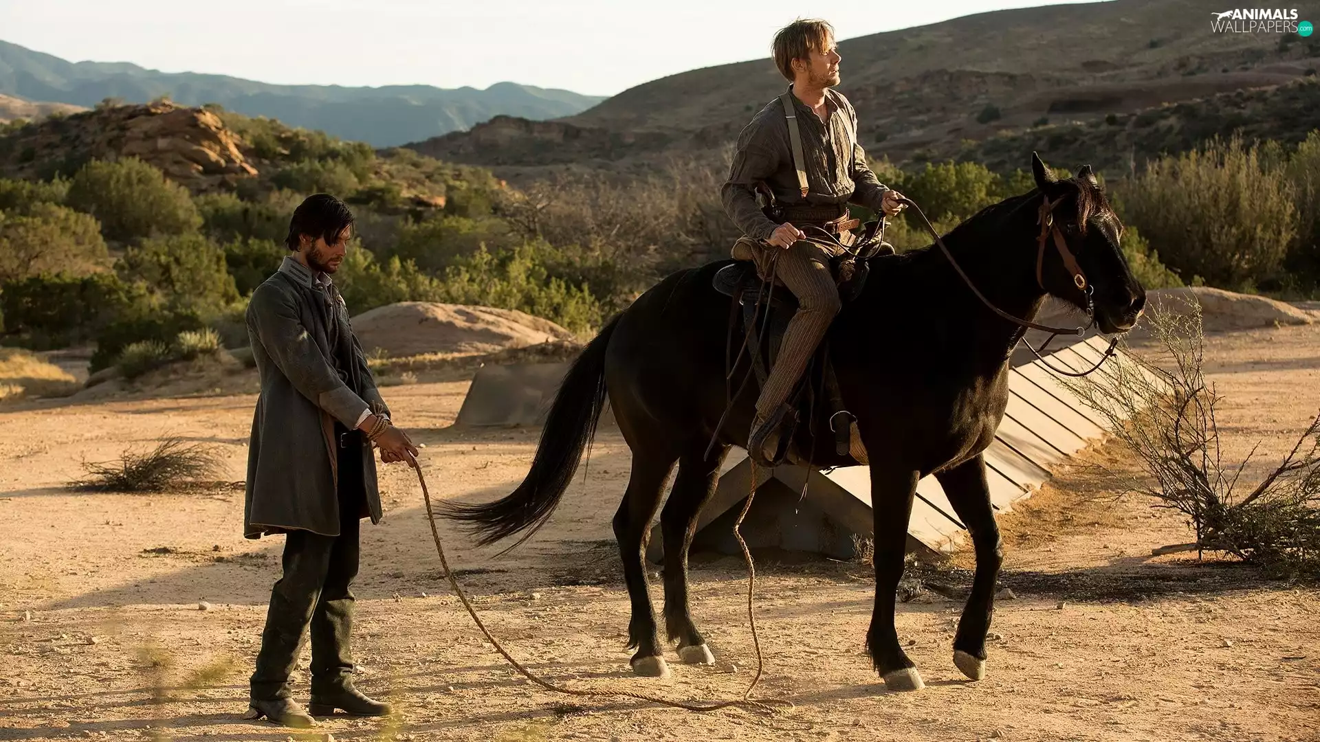 William, Westworld, Logan, Jimmi Simpson, actor, series, Heroes, Horse, actor, Ben Barnes