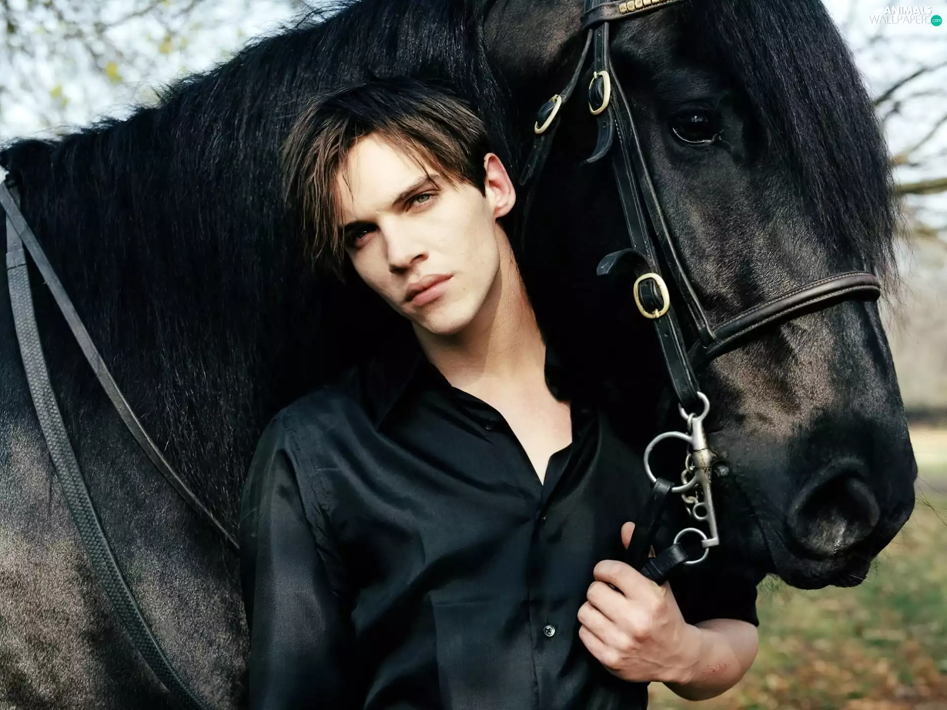 Jonathan, Horse, Meyers, a man, Black, Rhys, actor