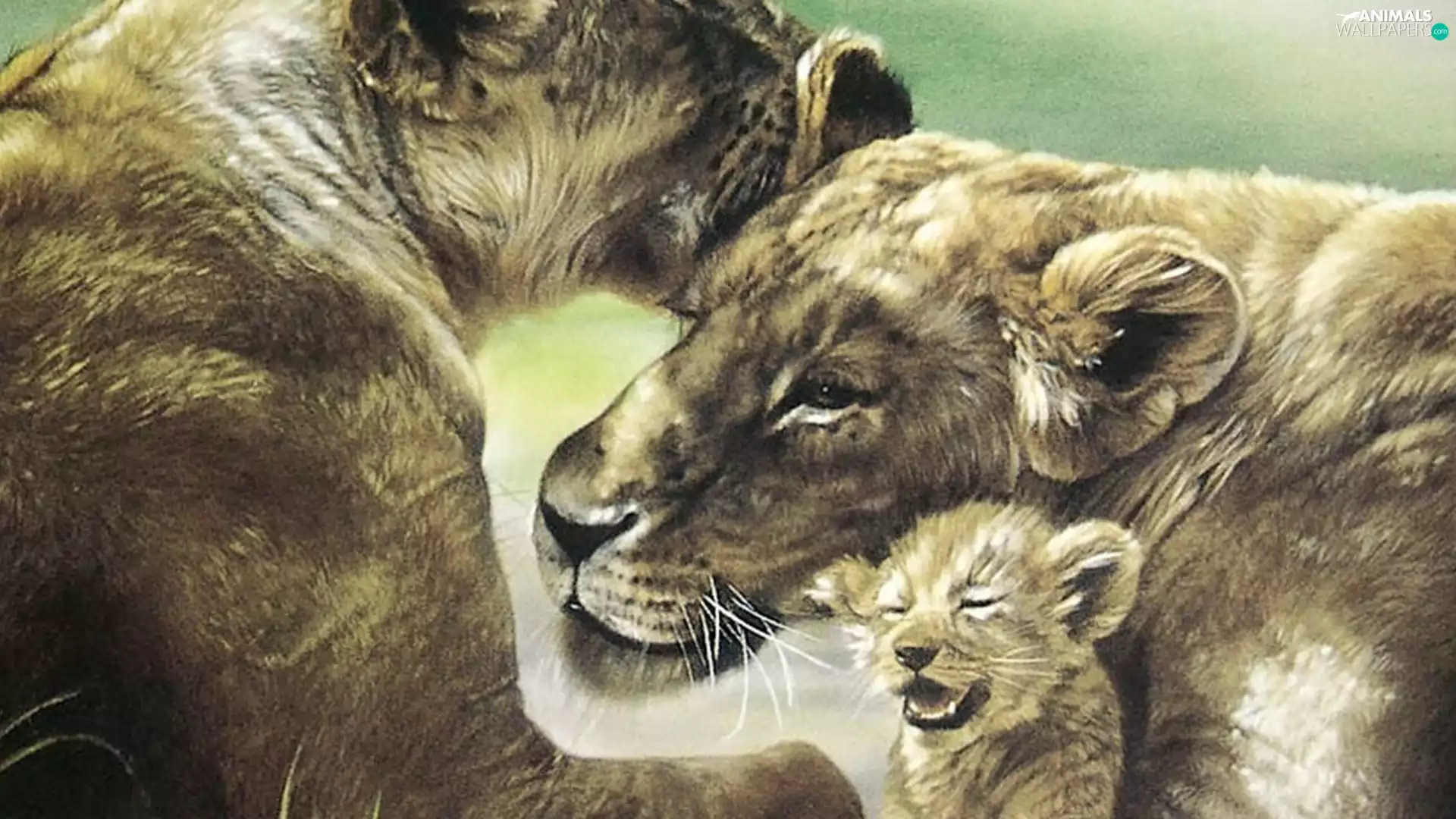 African, folks, Lviv