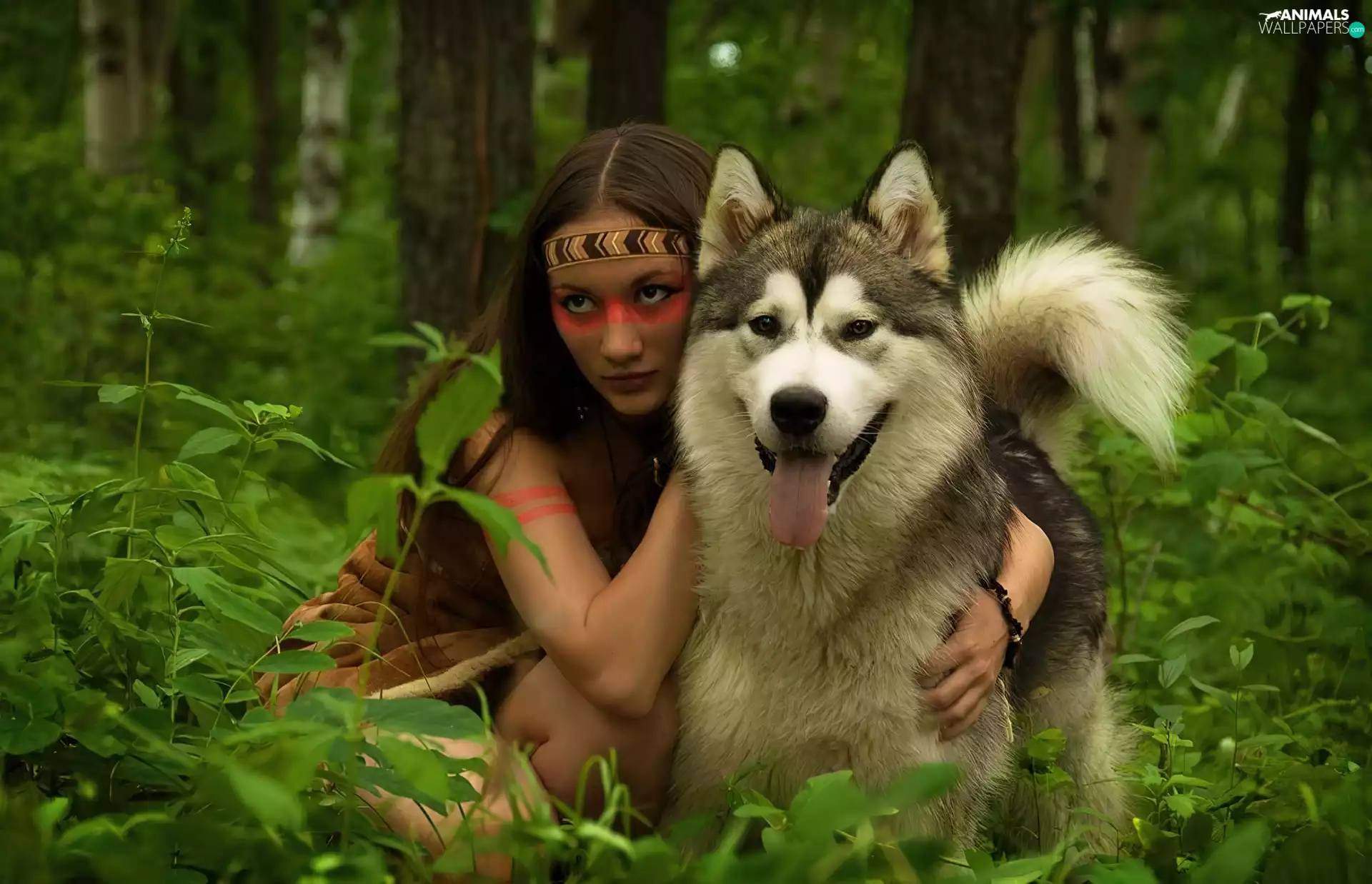 girl, Alaskan Malamute, forest, dog