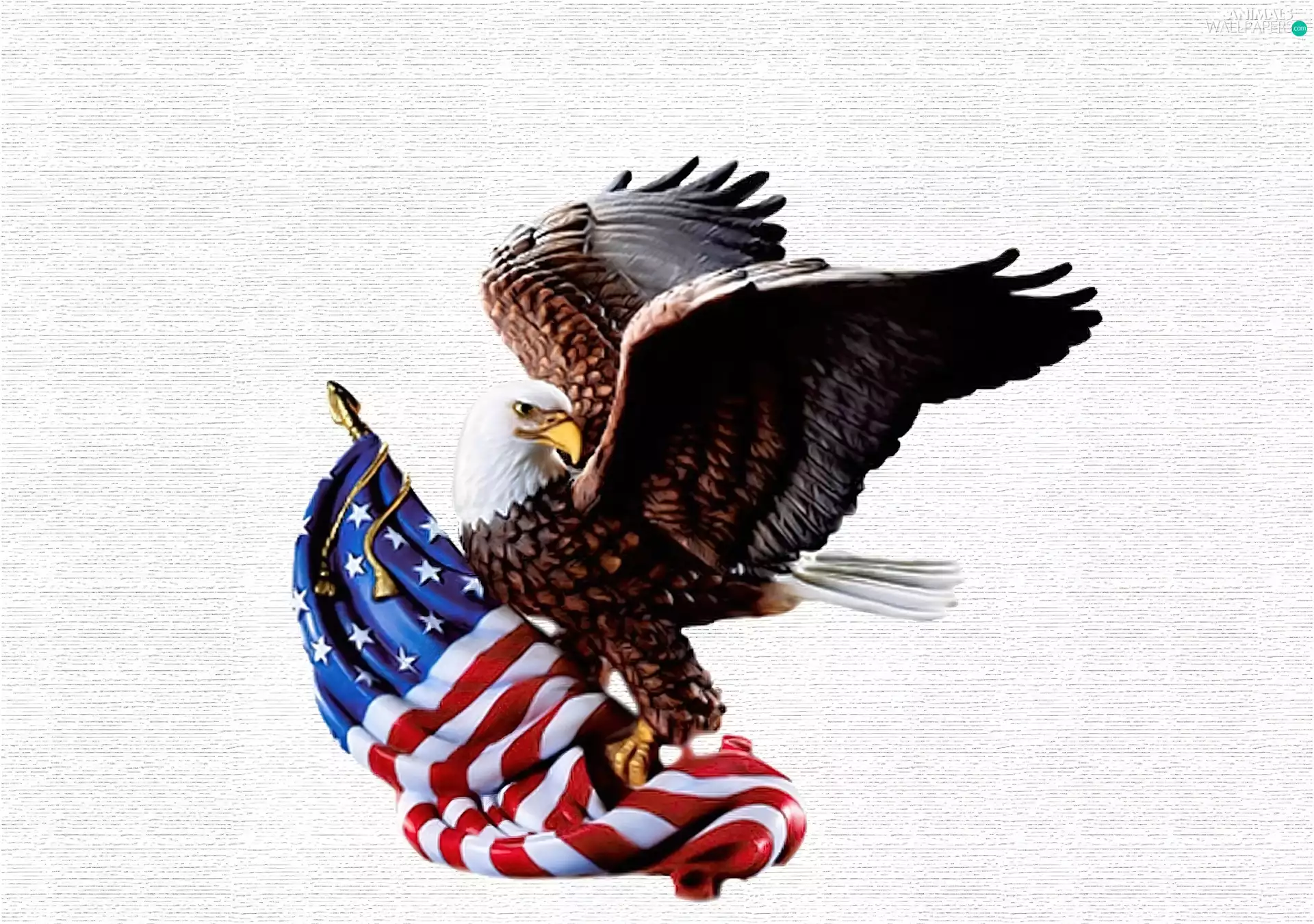 American, American Bald Eagle, flag