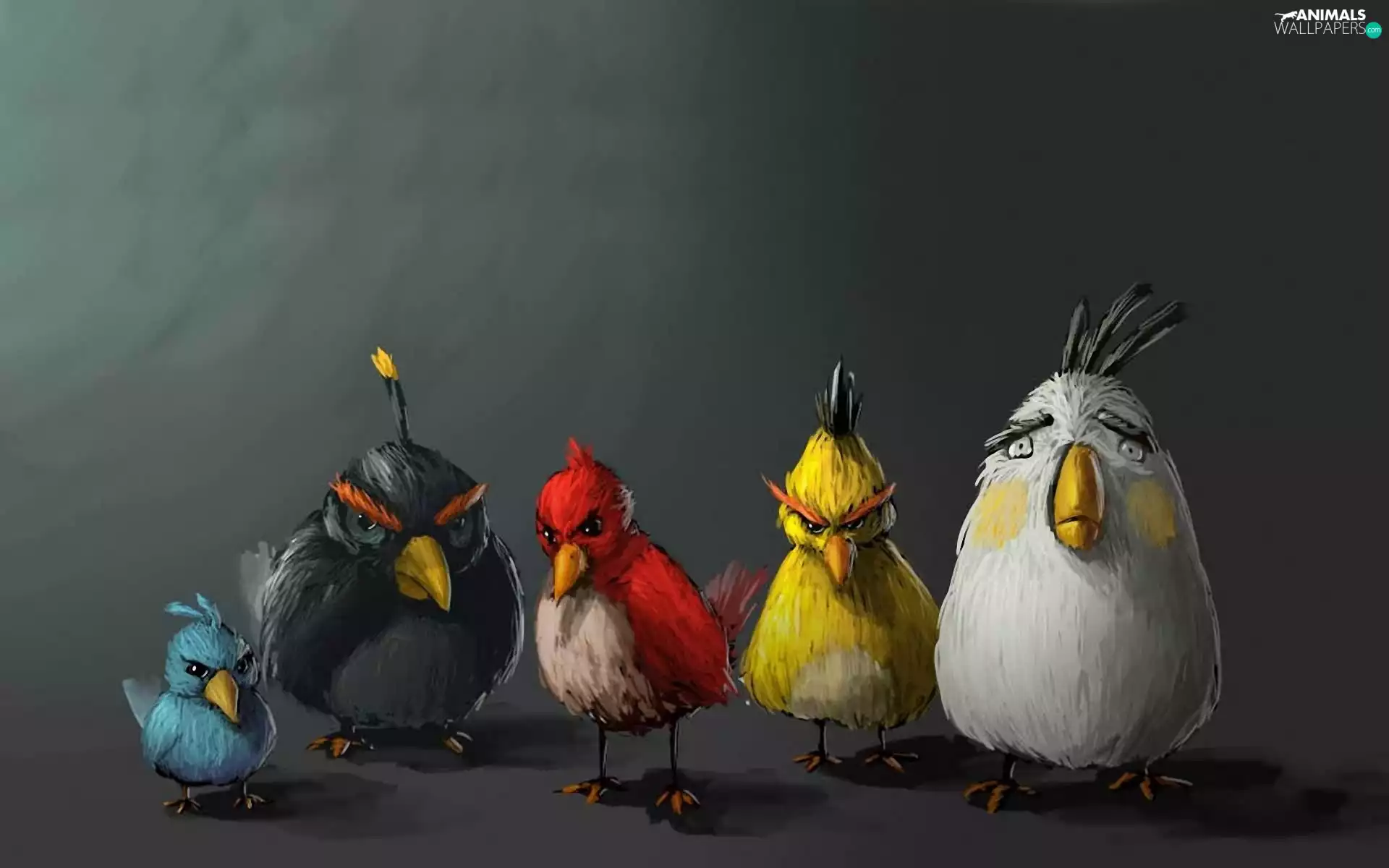 Angry Birds, birds