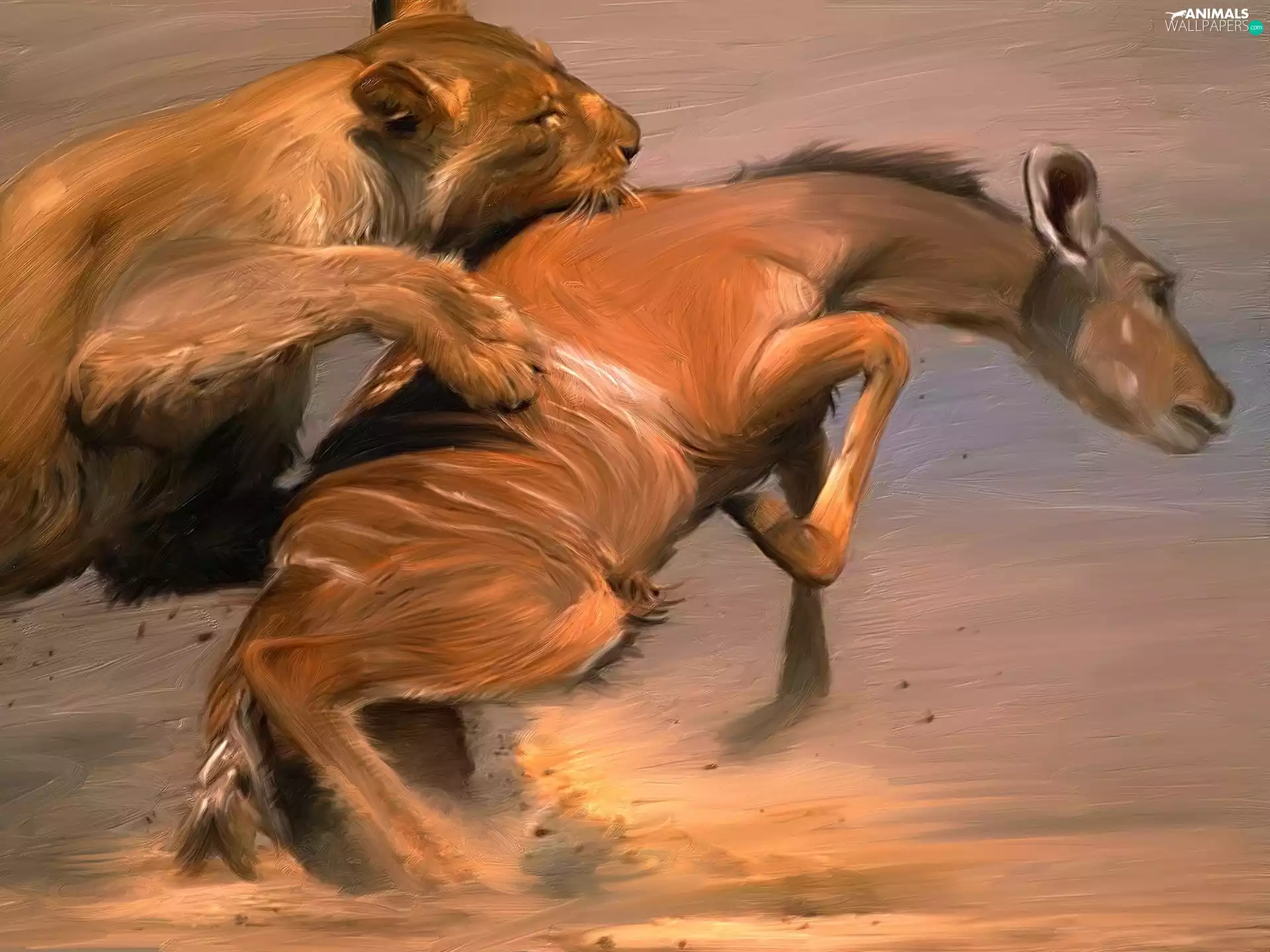 Antelope, hunting, Lion