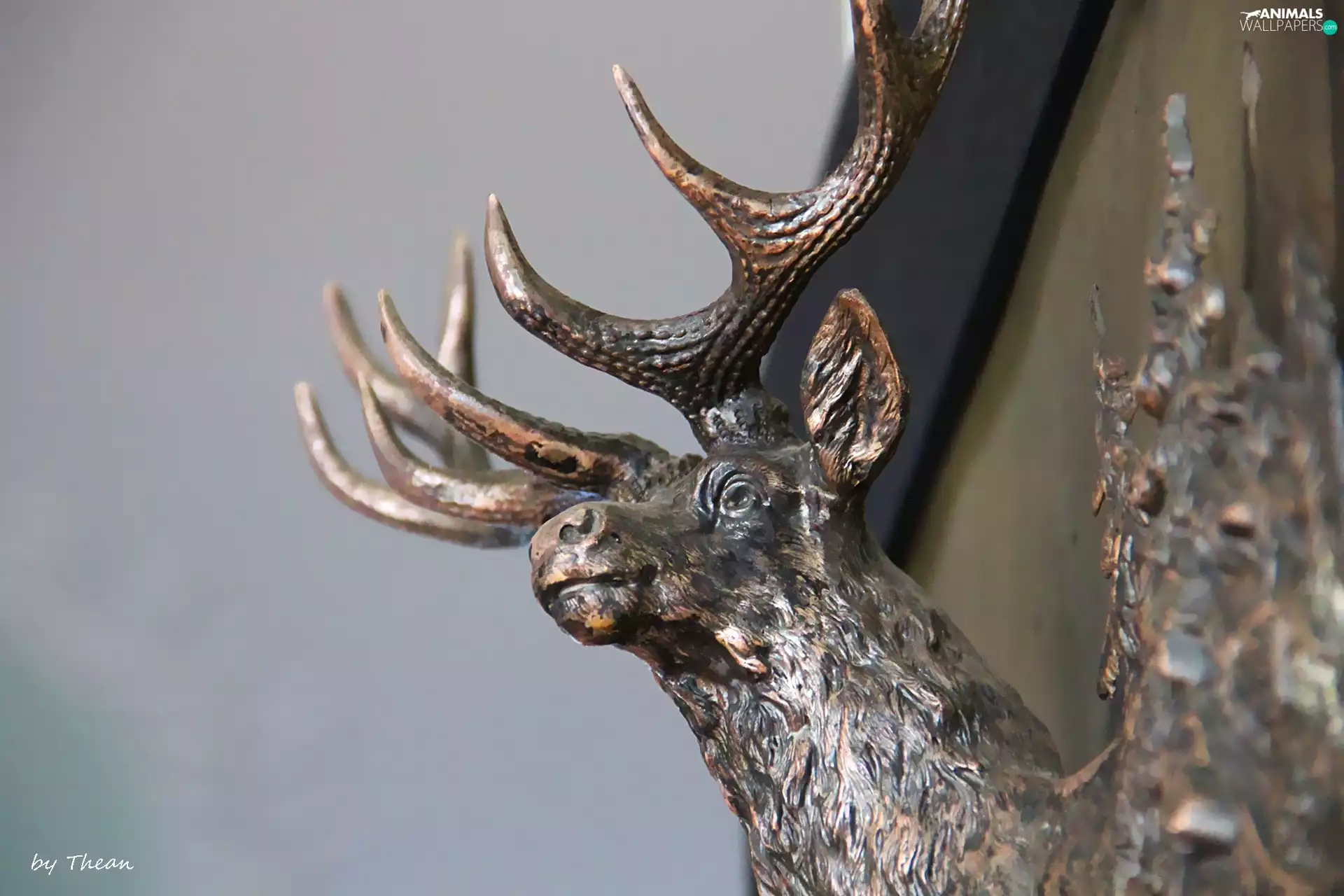 antlers, sculpture, deer