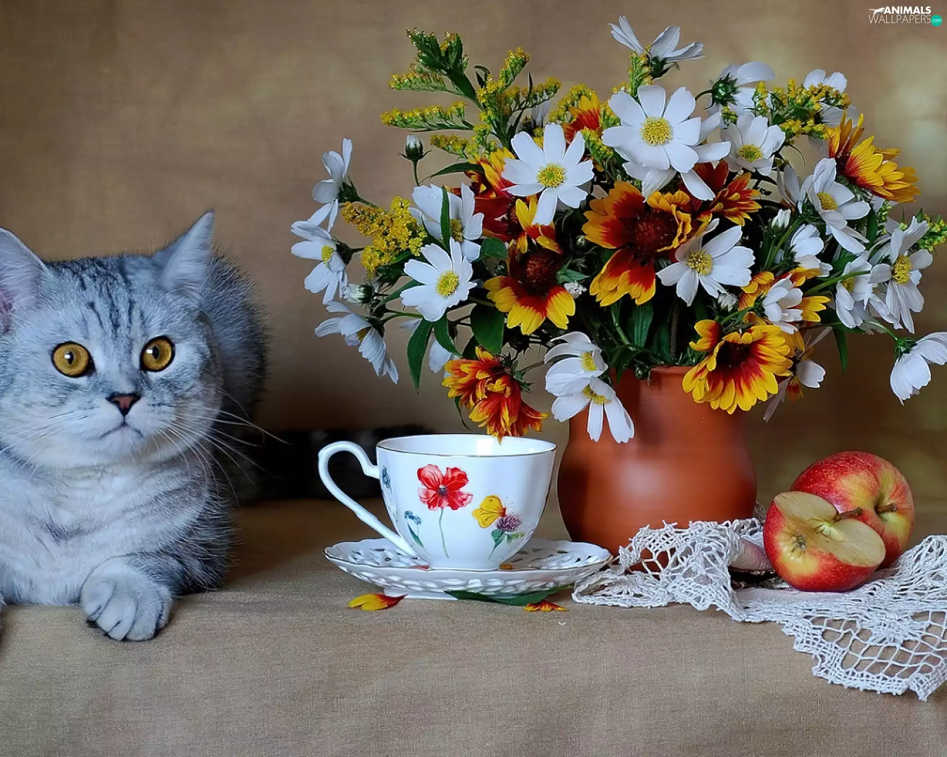 cup, Apple, Flowers, Vase, cat