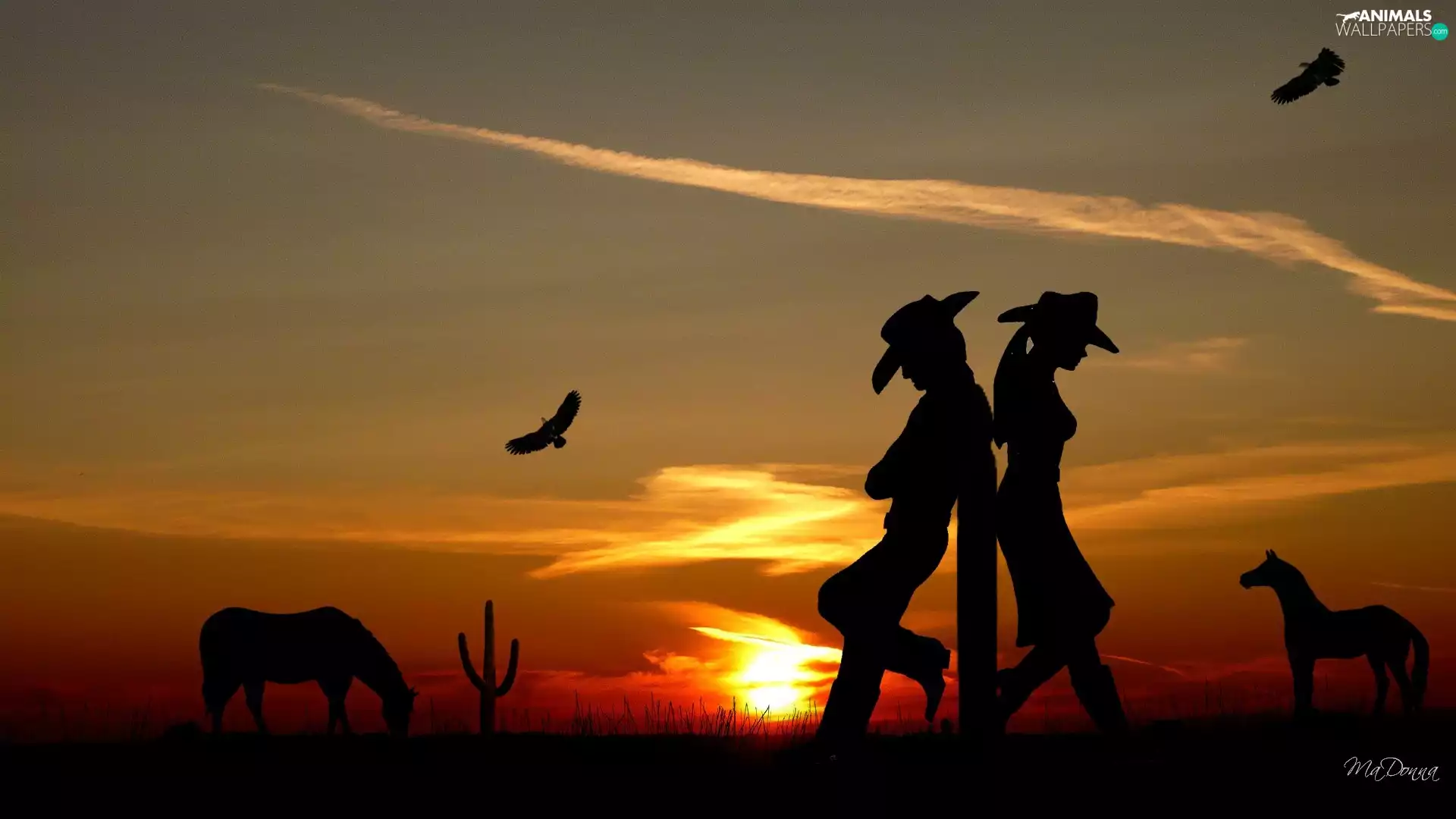 sun, Art, bloodstock, west, Steam