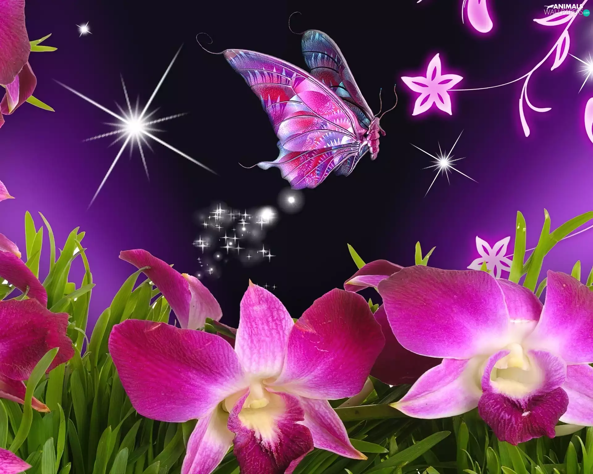 Art, Flowers, butterfly