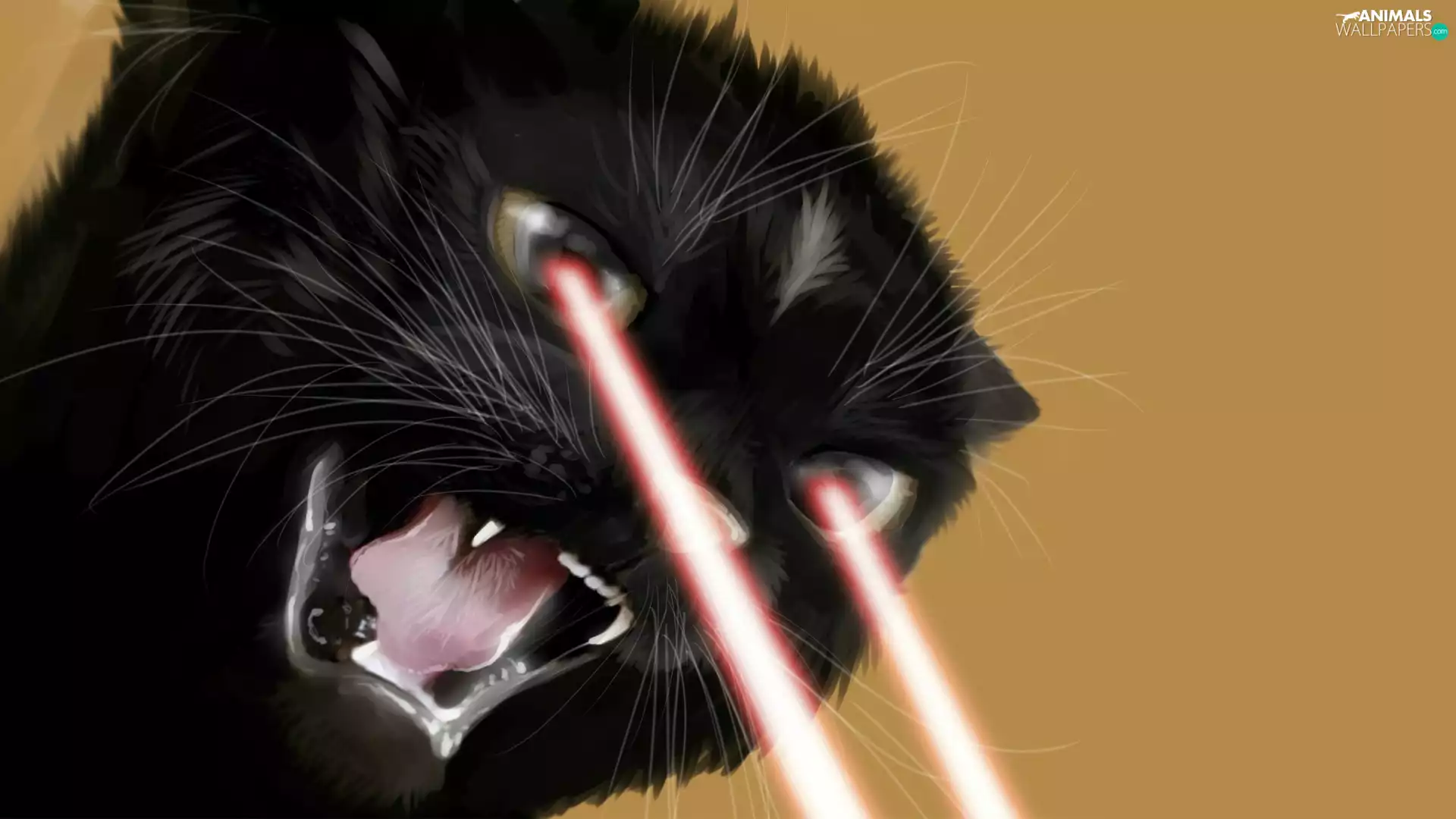 Sight, Art, cat, blazing, Black