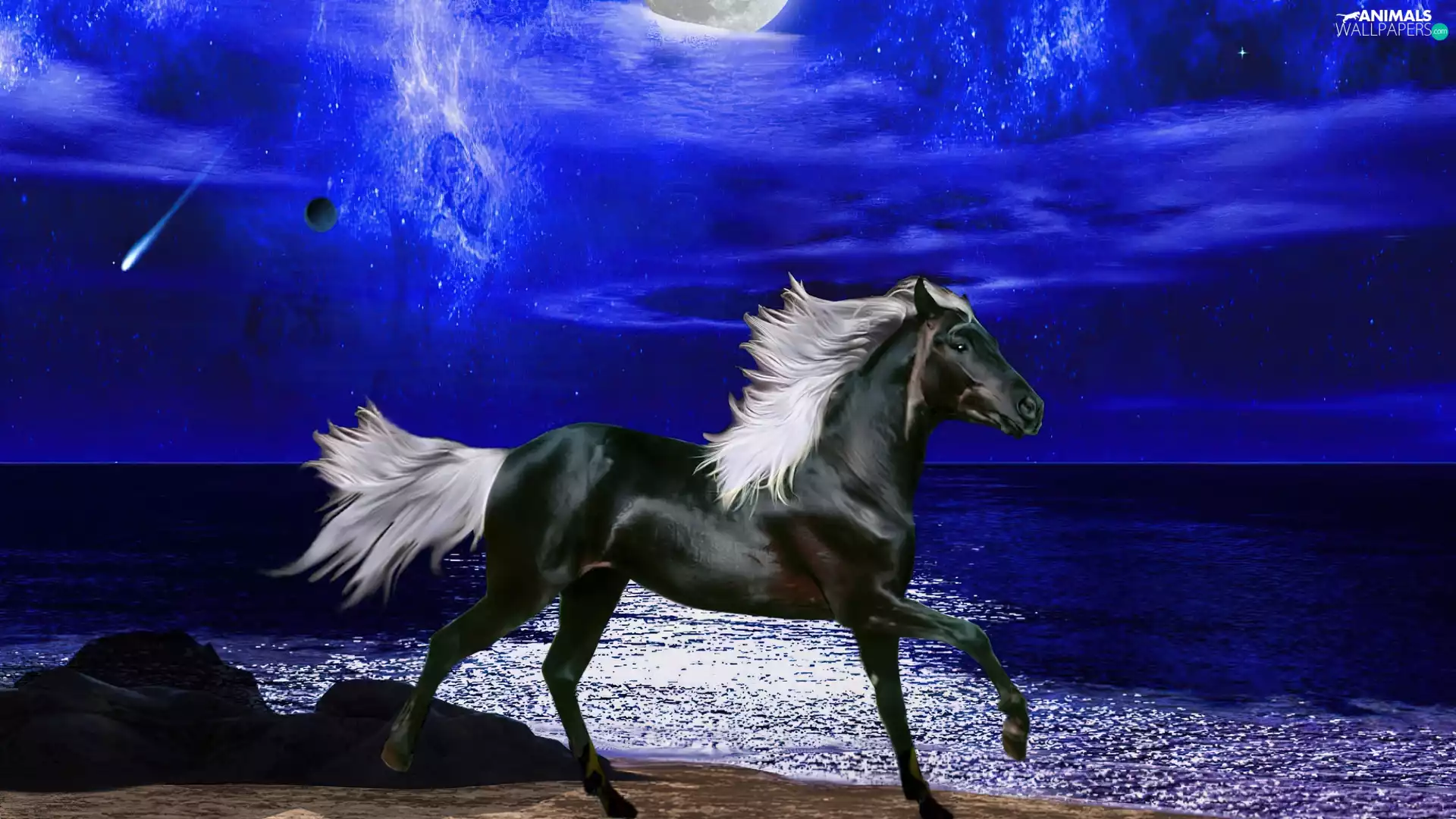 Night, Art, Horse, sea, Black