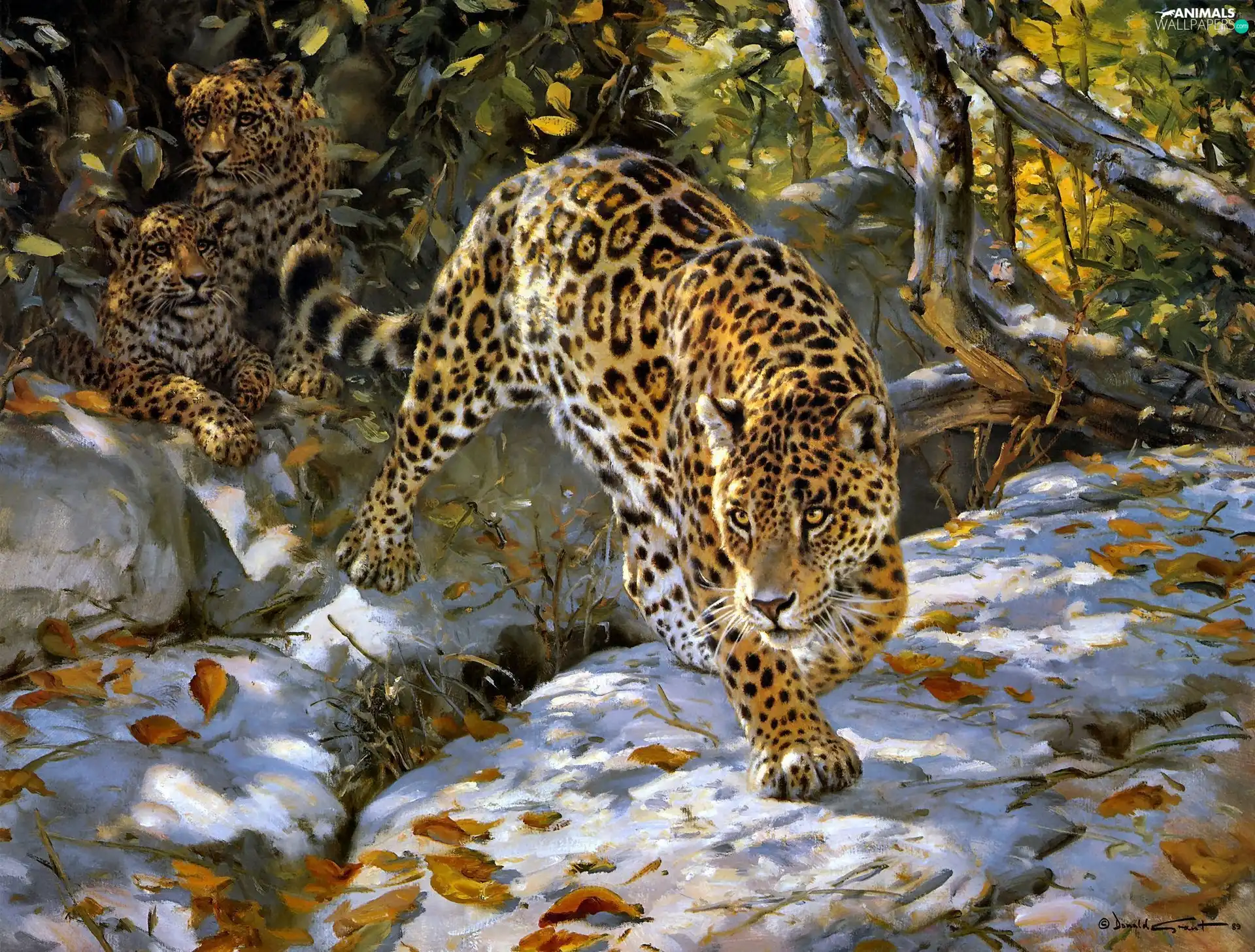 Art, Jaguar, viewes, snow, trees