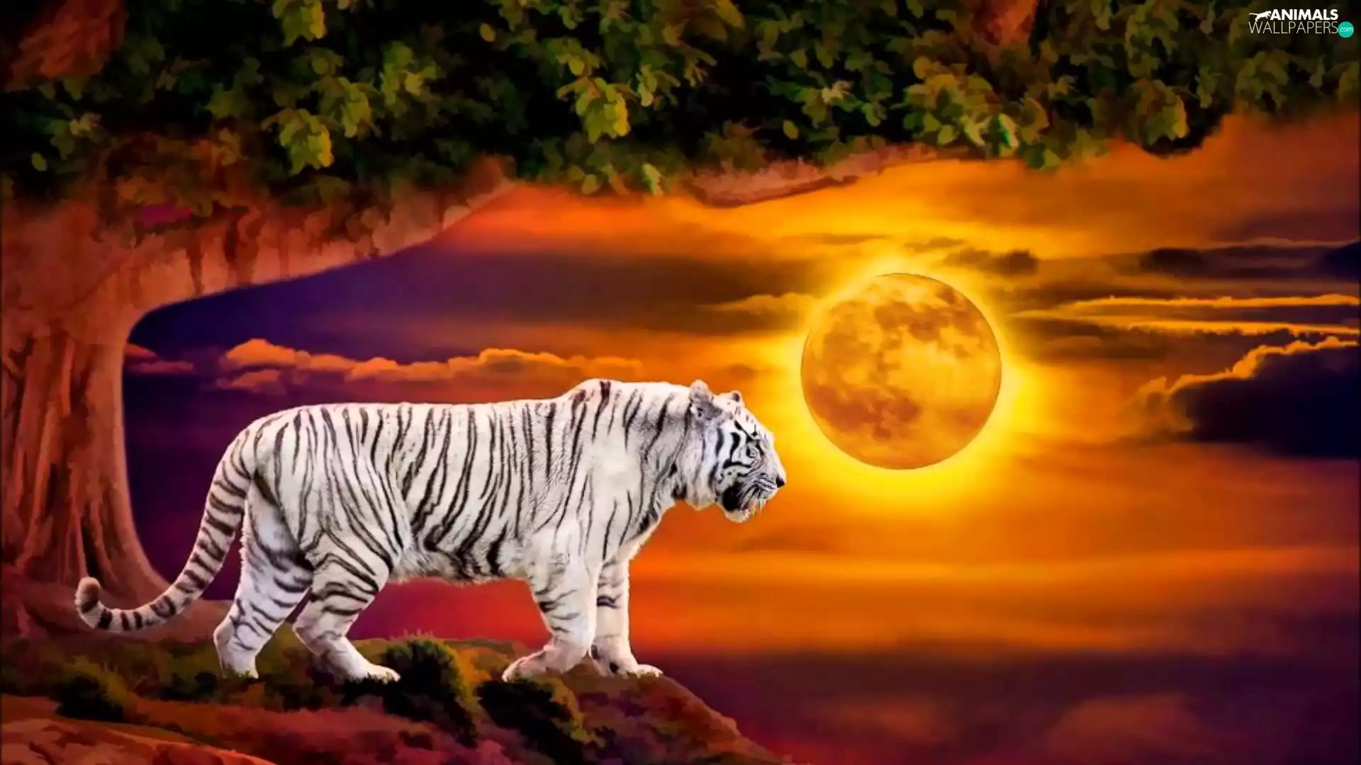 White, west, trees, Art, tiger, sun