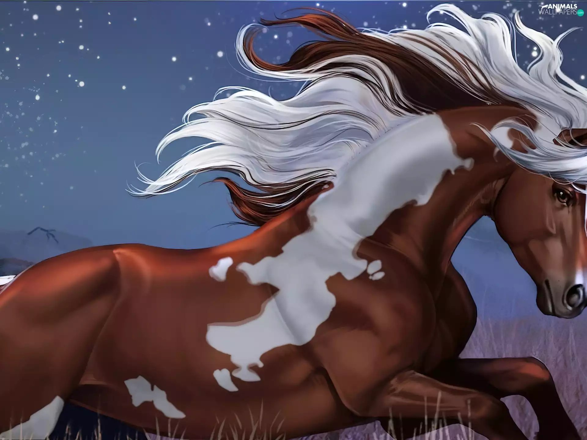 mane, Art, White, Patch, Horse