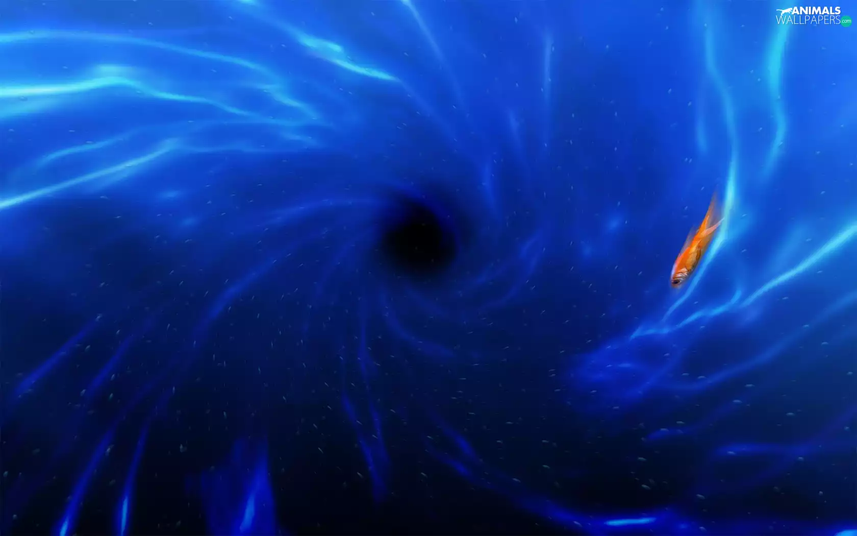 Golden automobile, whirlwind, water, Fish