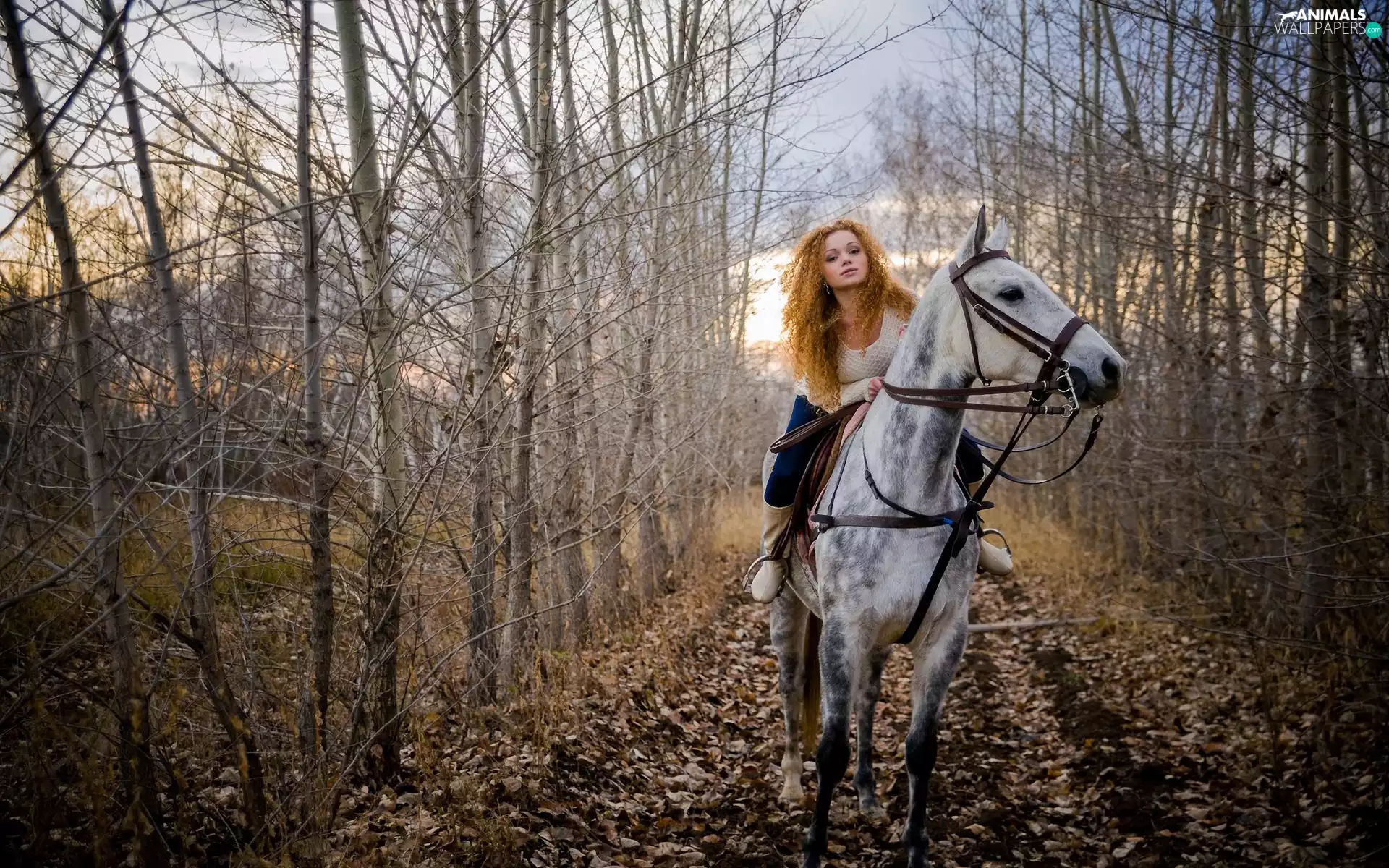 Way, girl, Leaf, autumn, forest, Horse