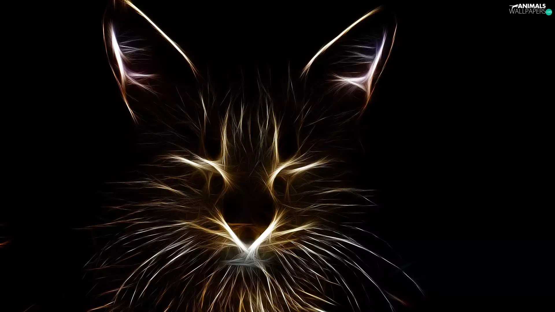 Black, background, graphics, Fractalius, cat