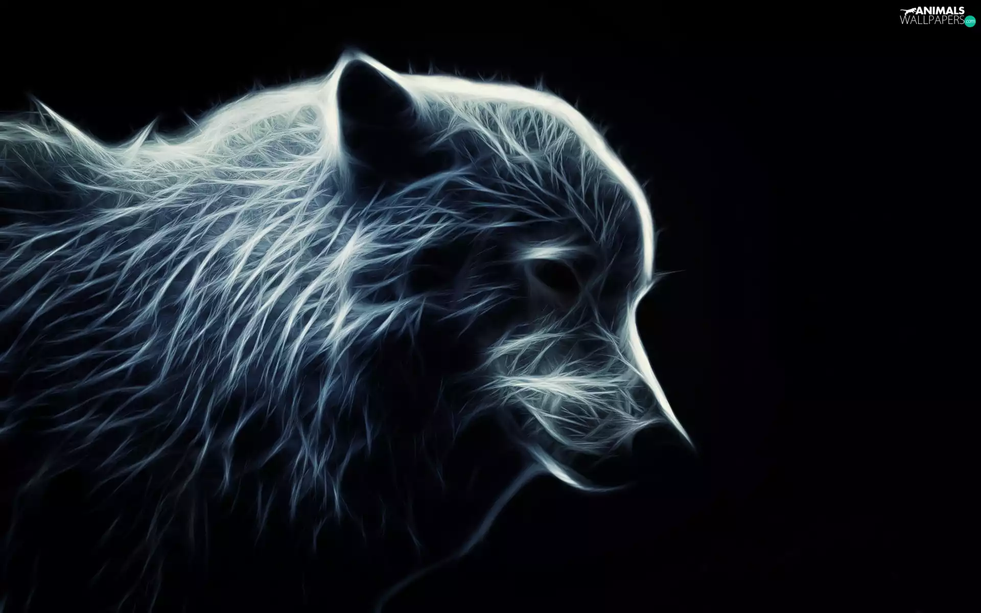 Fractalius, Wolf, Black, background, graphics, profile