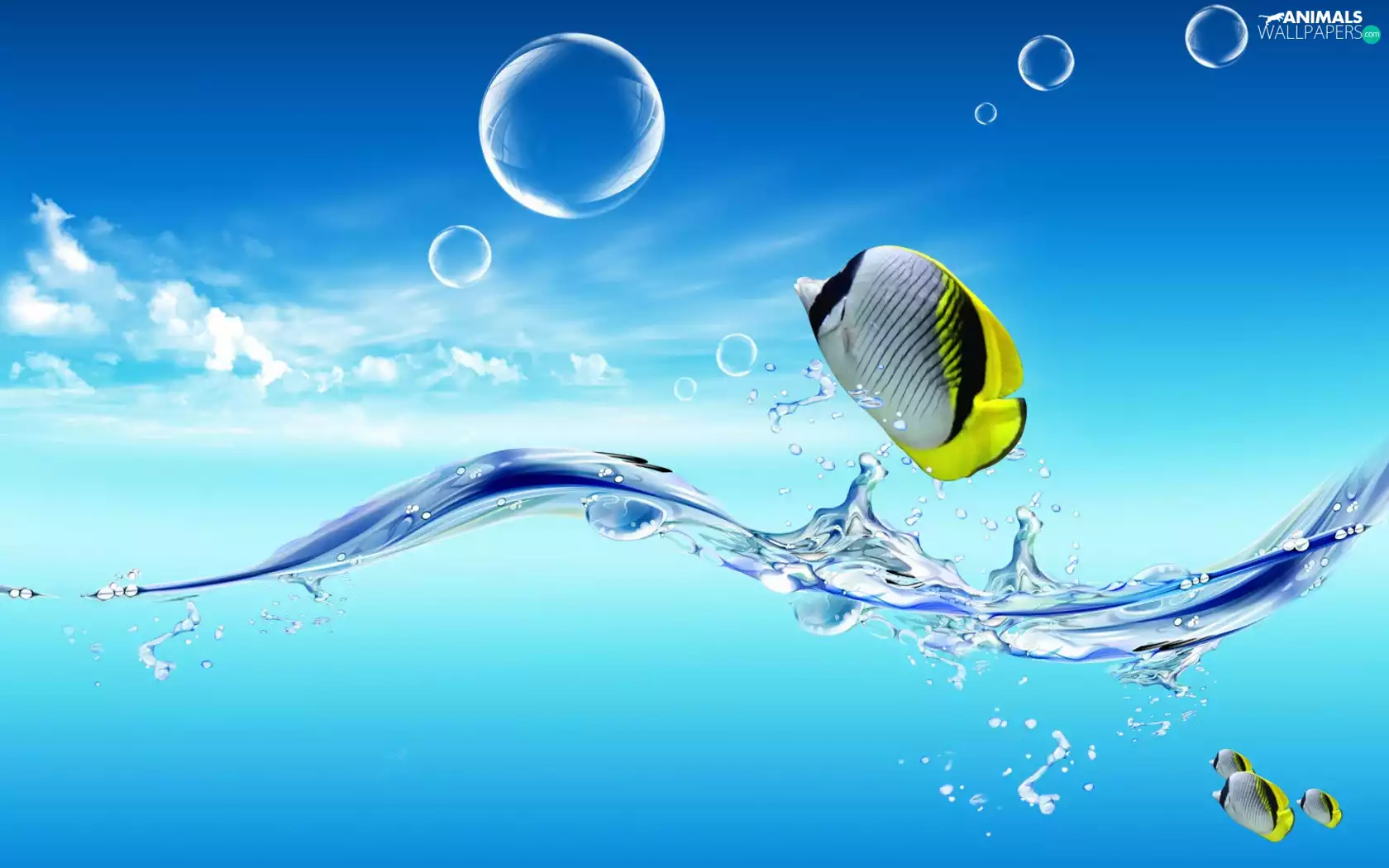 Blue, background, water, bubbles, fishes