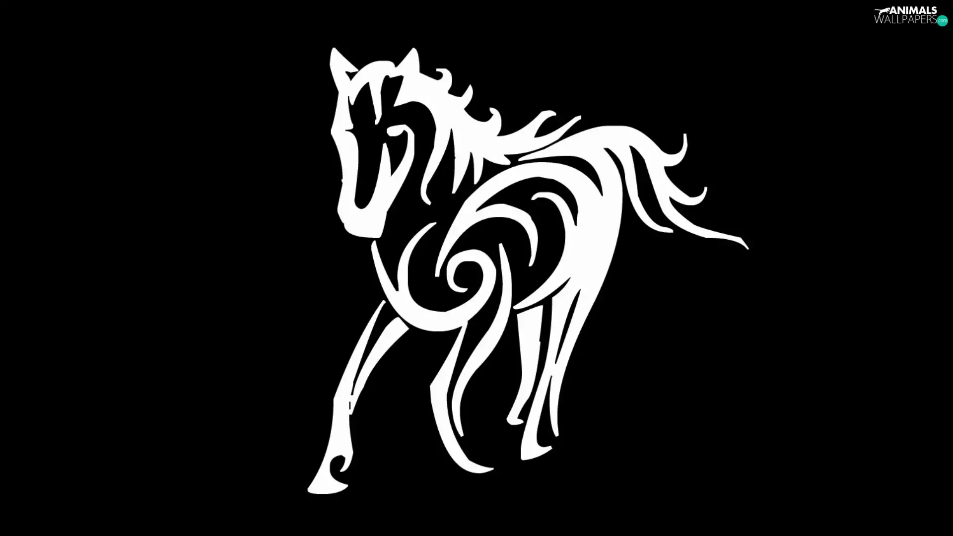 White horse, black background