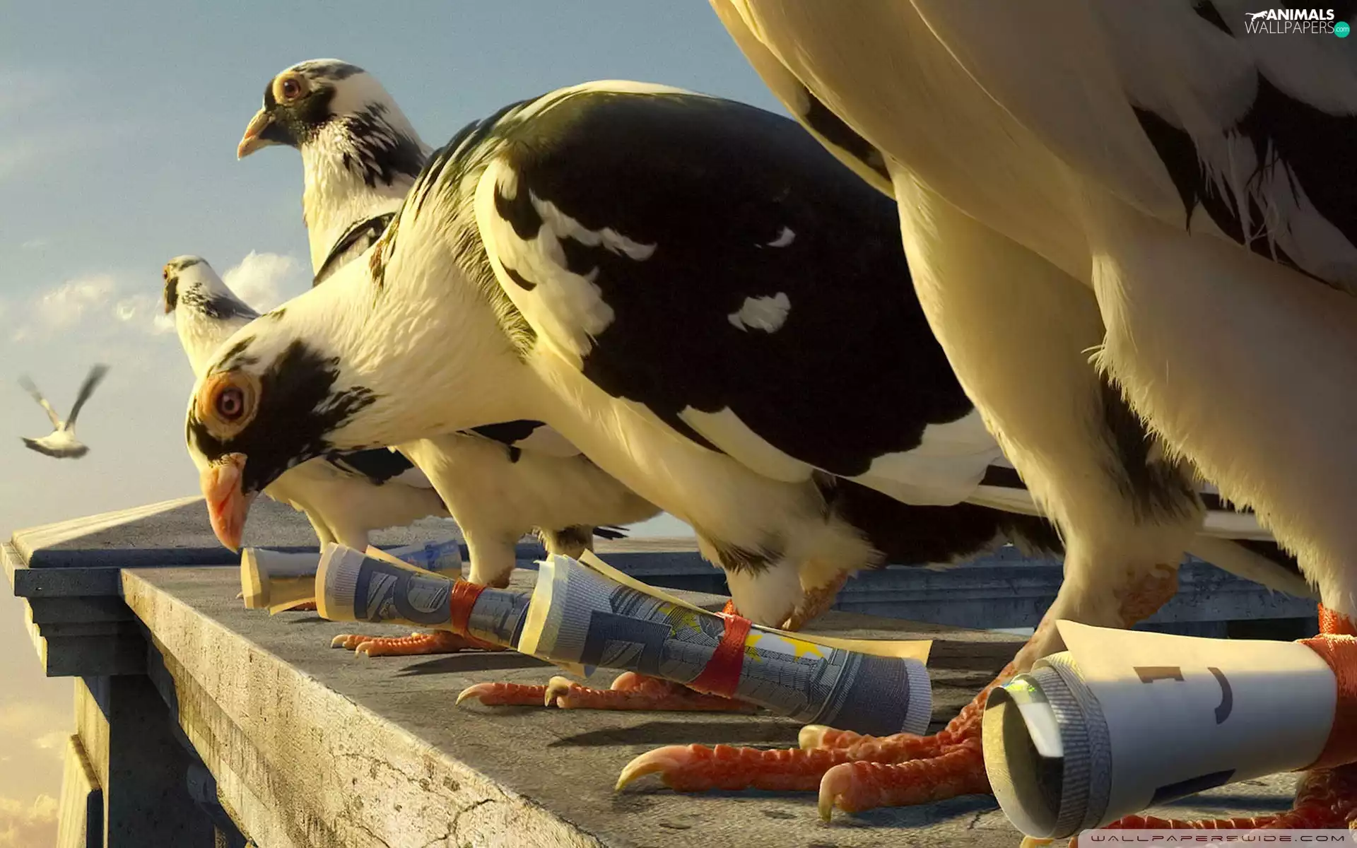 banknotes, Deep, coils