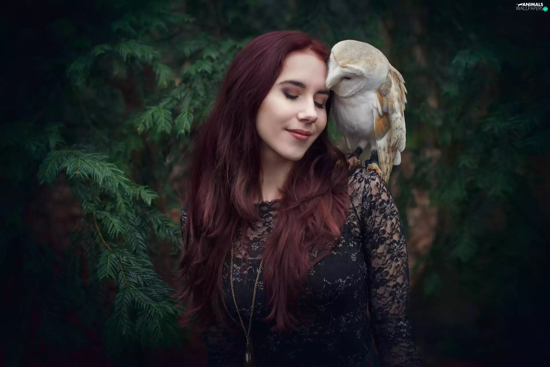 trees, viewes, owl, Barn Owl, girl