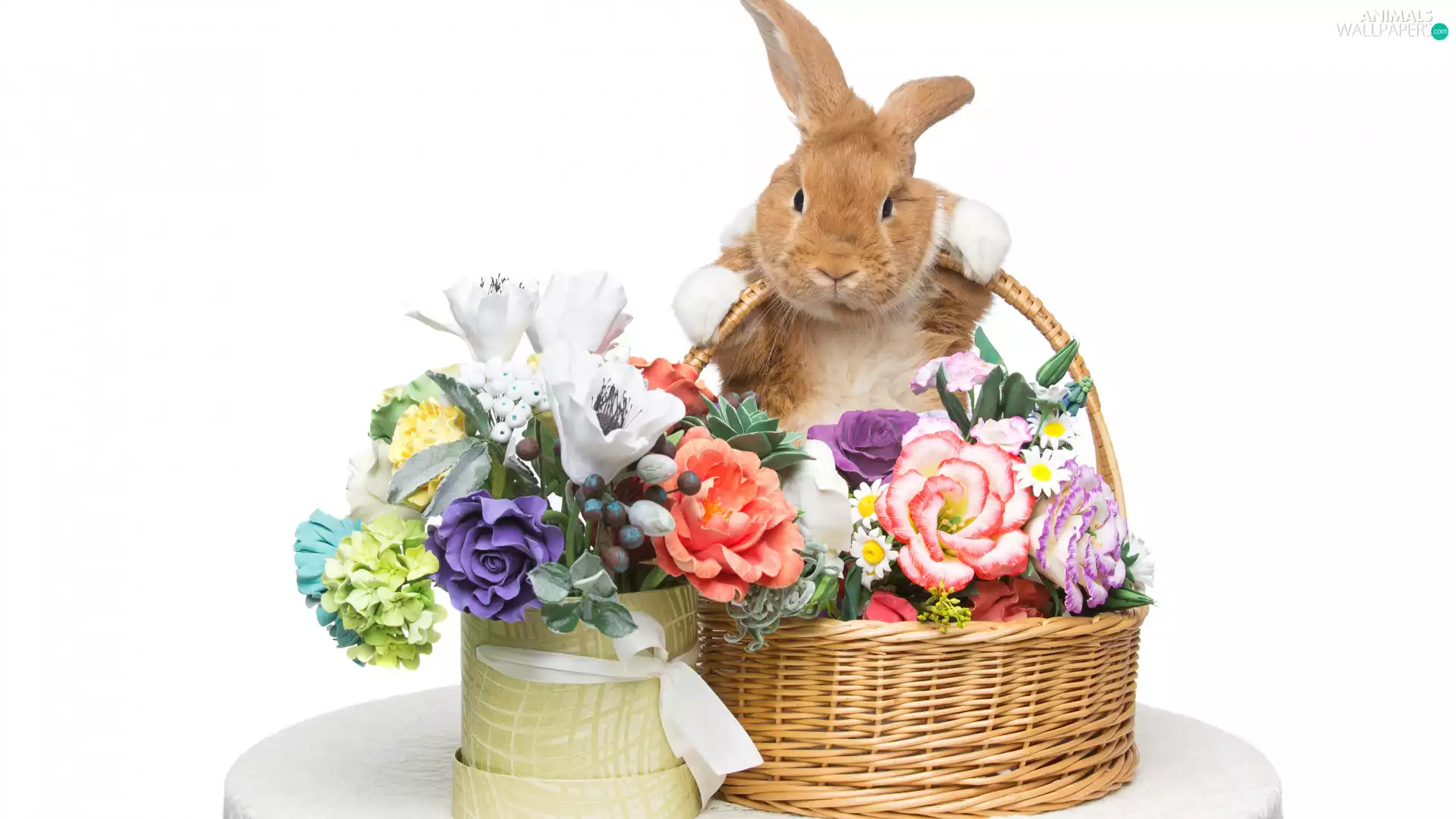 Flowers, Box, Rabbit, basket