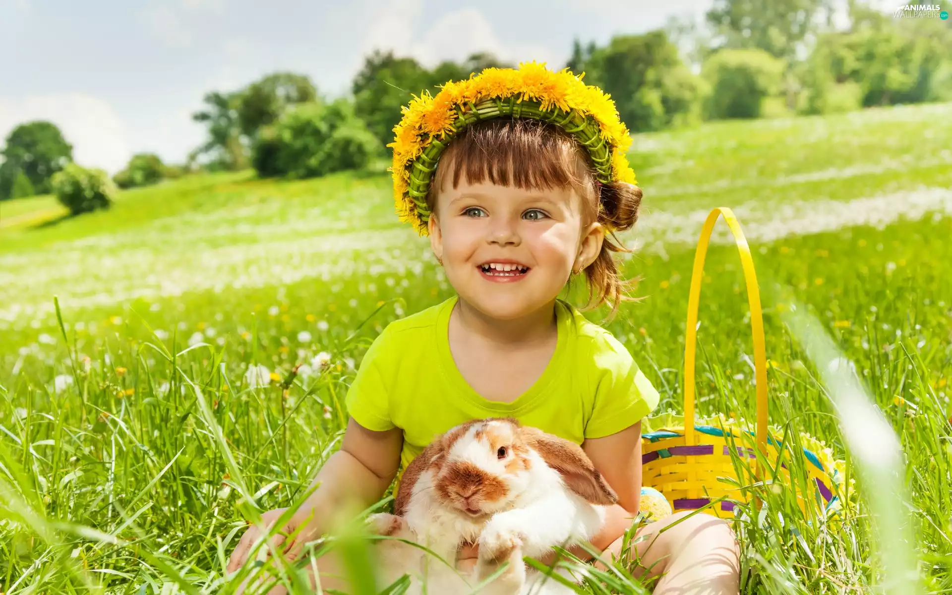 wreath, girl, Rabbit, basket, dandelions, Meadow