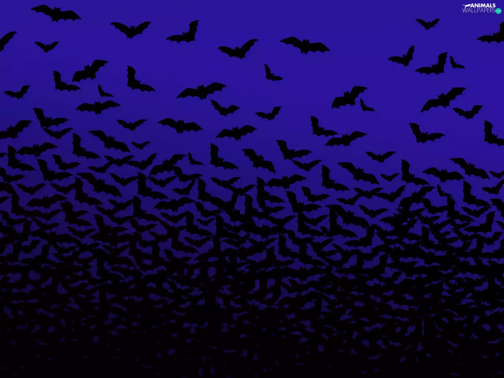 bats