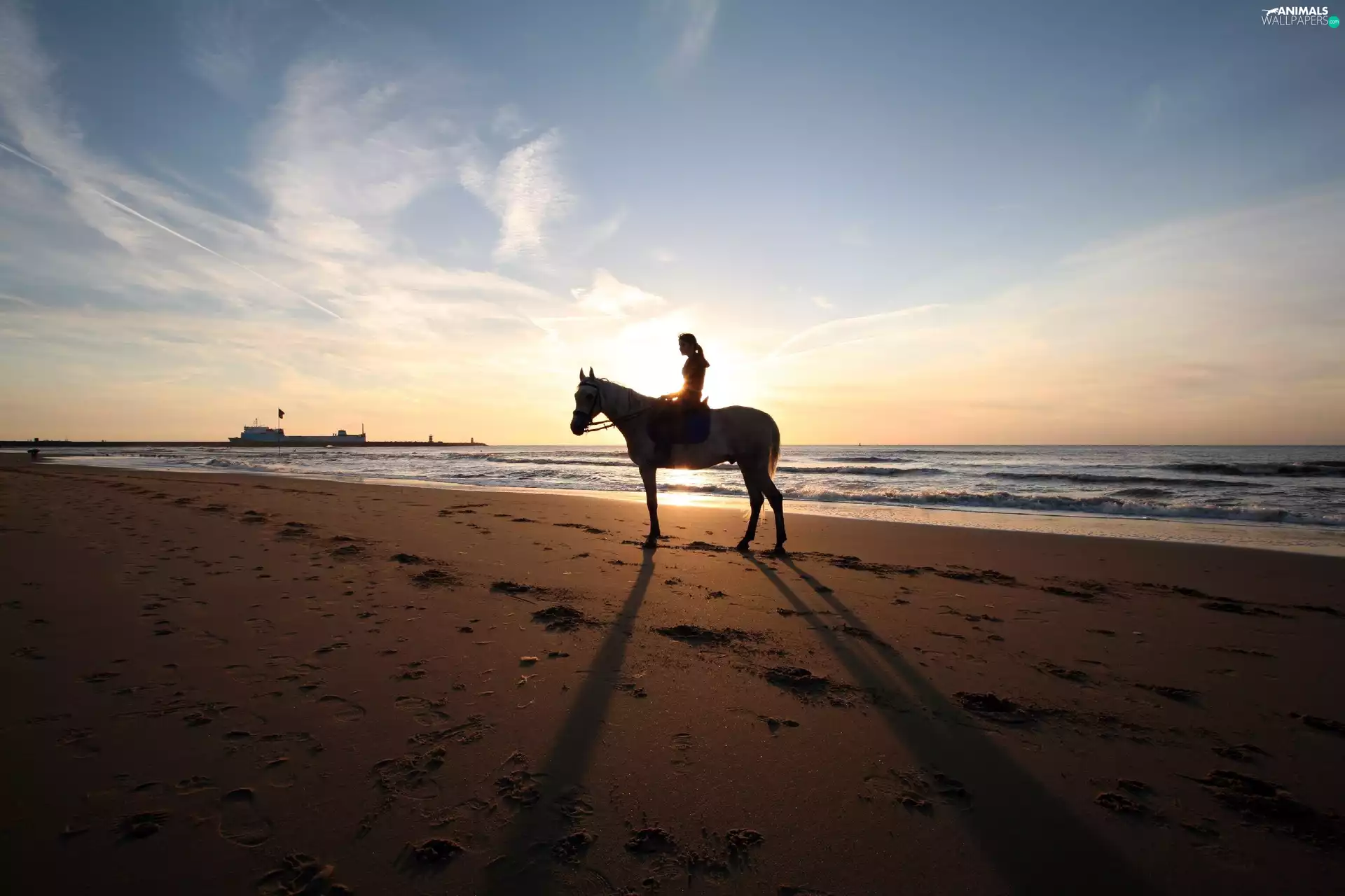 sea, Horse, girl, Beaches
