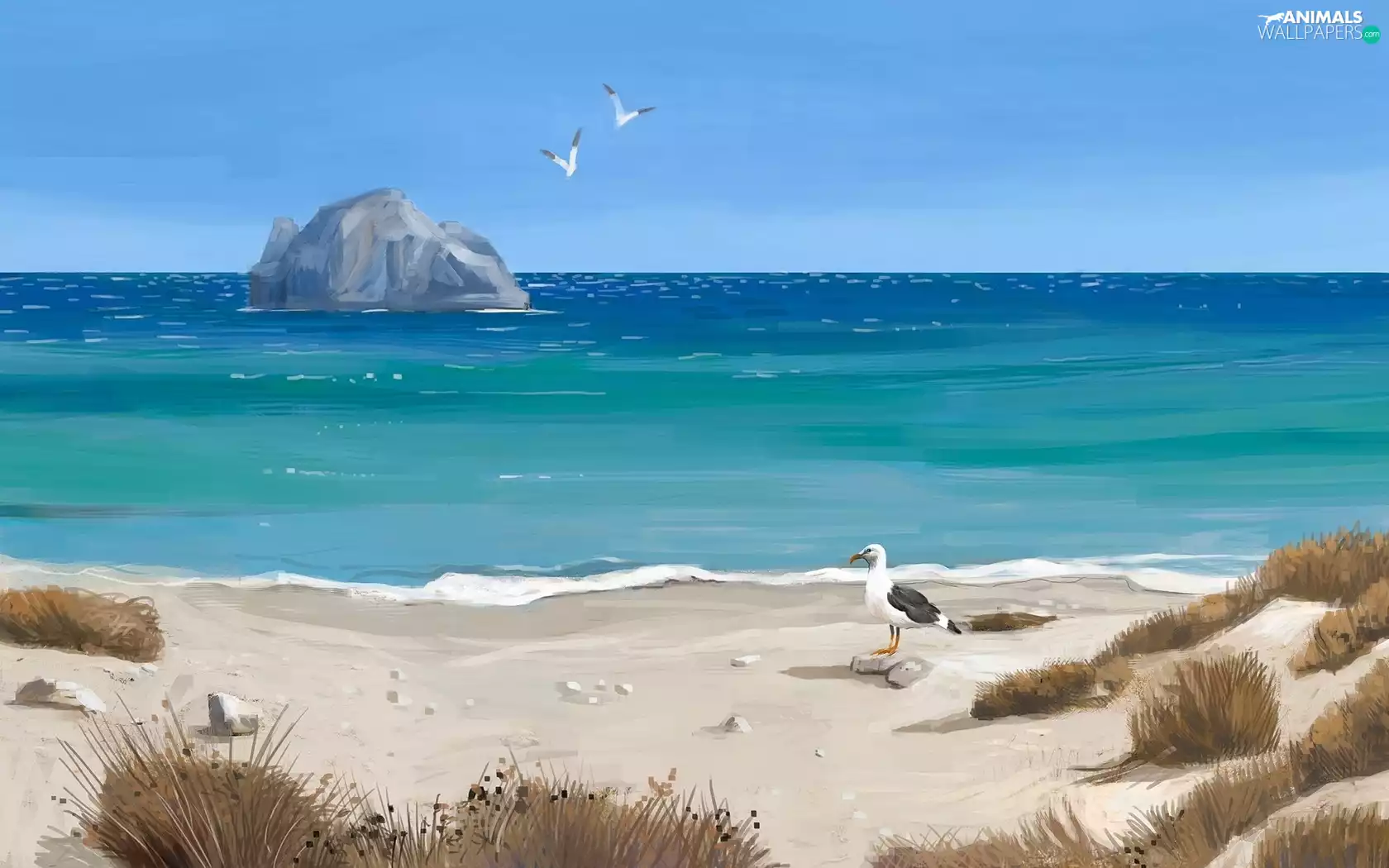 sea, Dunes, gulls, Beaches