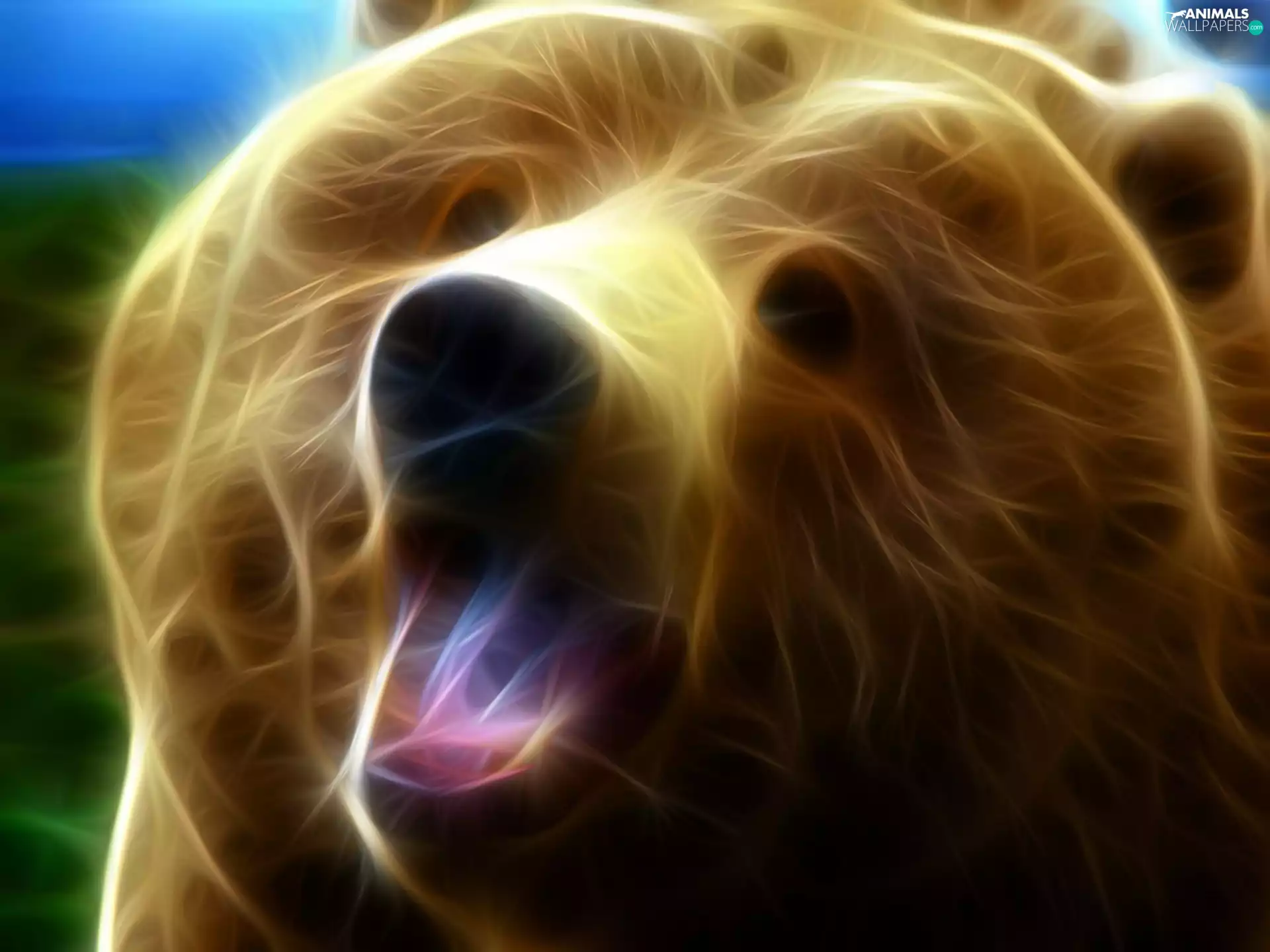 Bear, 3D