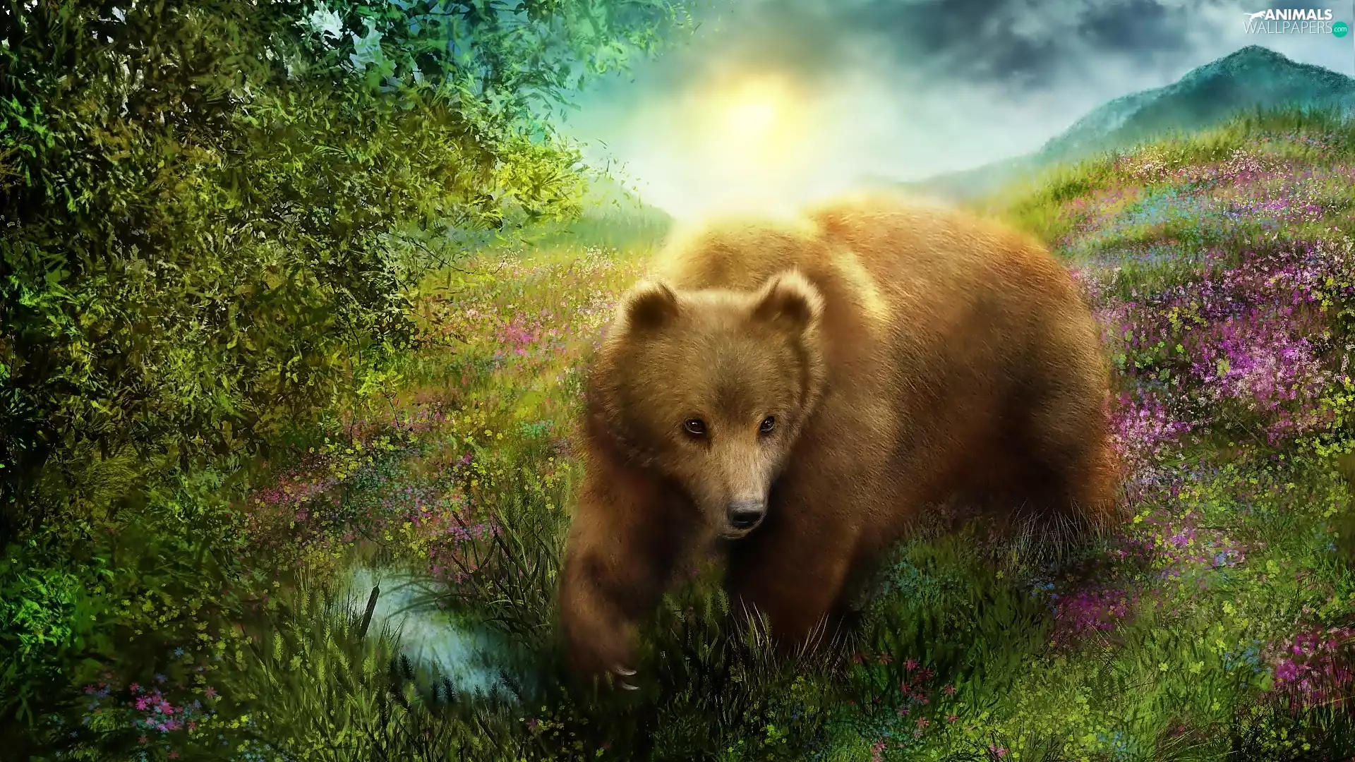 Bear, Meadow