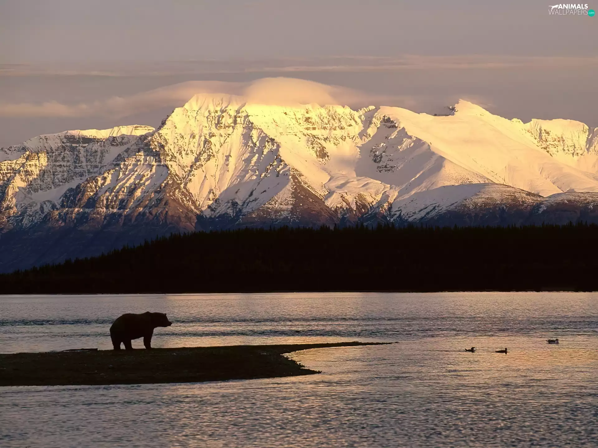 Bear, Alaska, Mountains