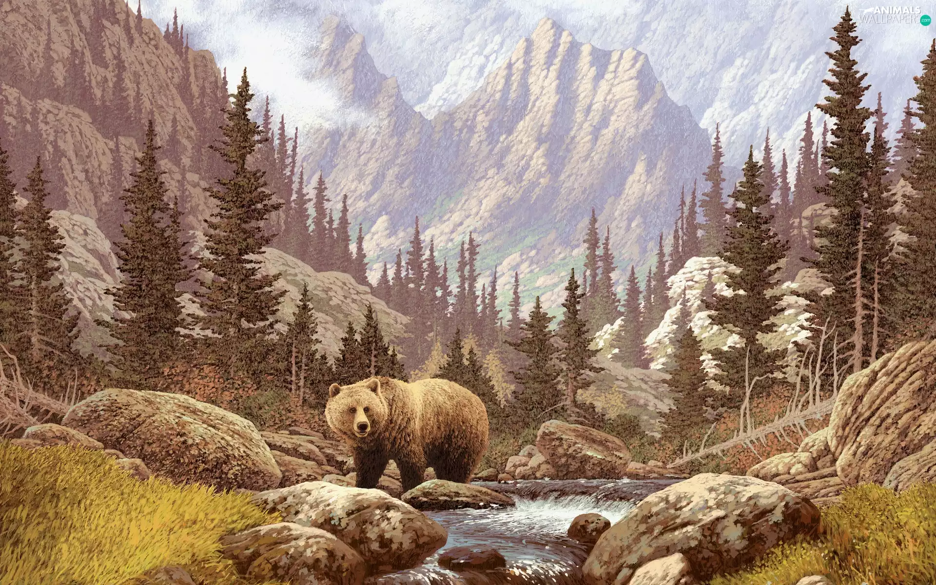 Stones, Bear, River, forest, Mountains