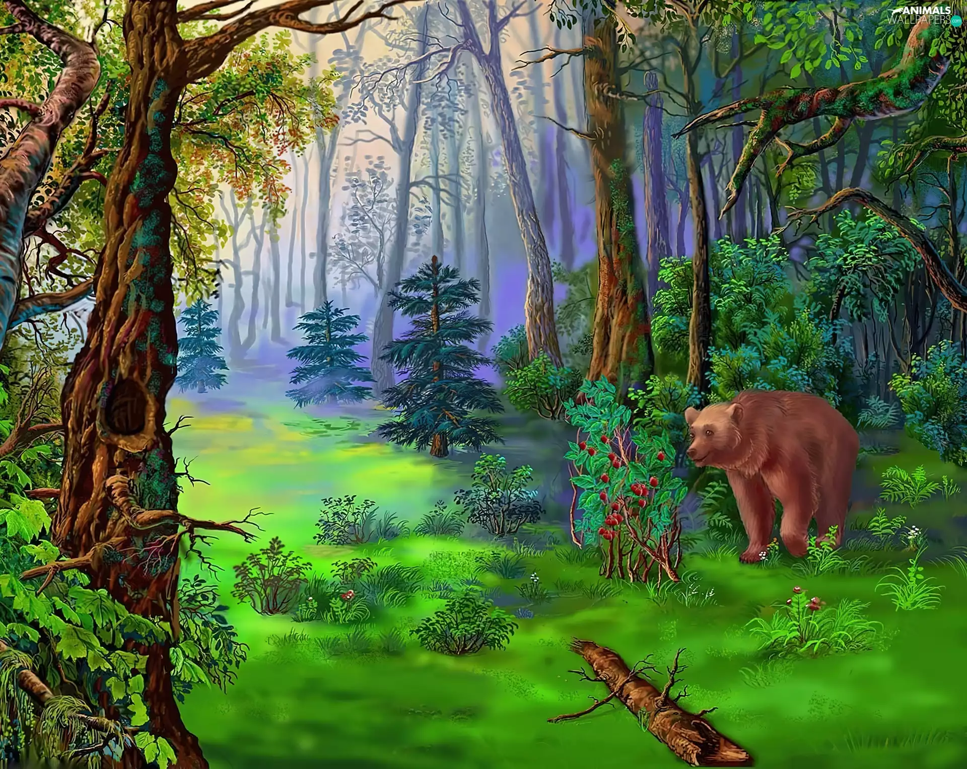 teddy bear, forest, Bear