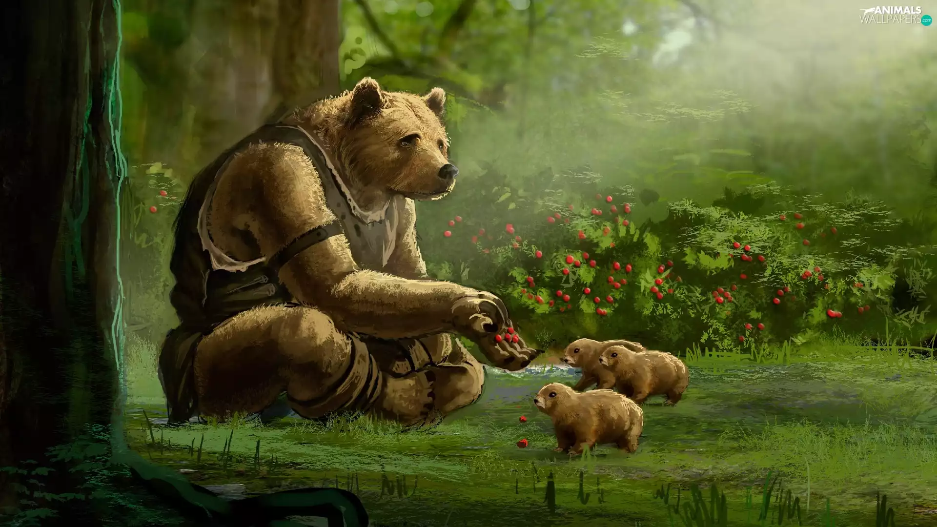 bears, Witanlore: Dreamtime