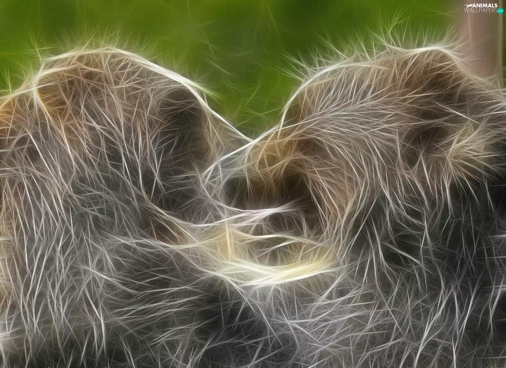 Gryzli, young, Little bears