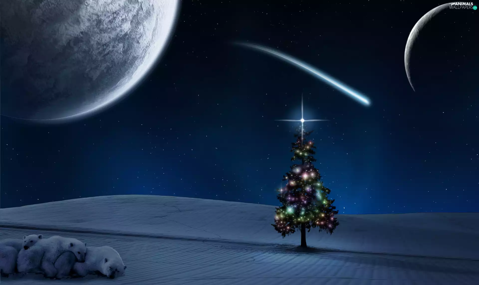 christmas, bears, Sky, christmas tree