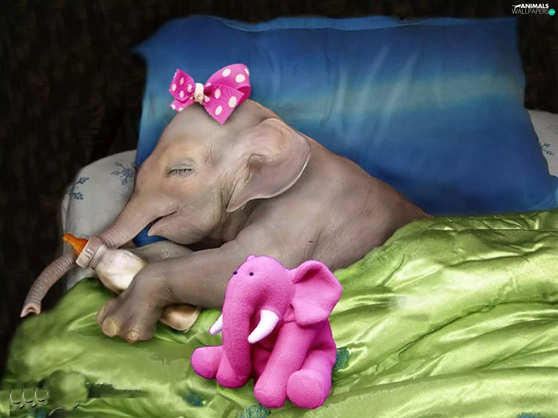 Bedding, elephant, Loop